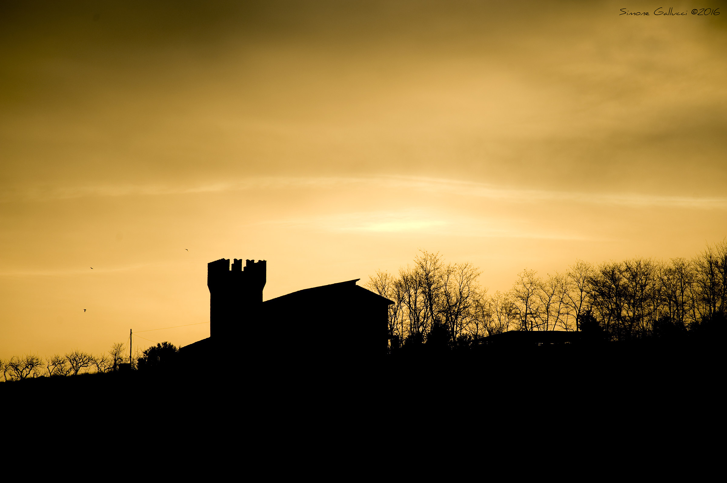 Alba , Torre Matteucci , Fermo (fm)