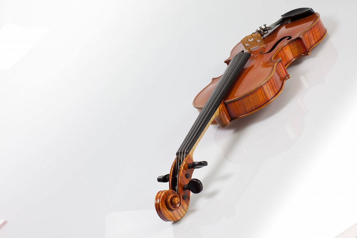 Violino