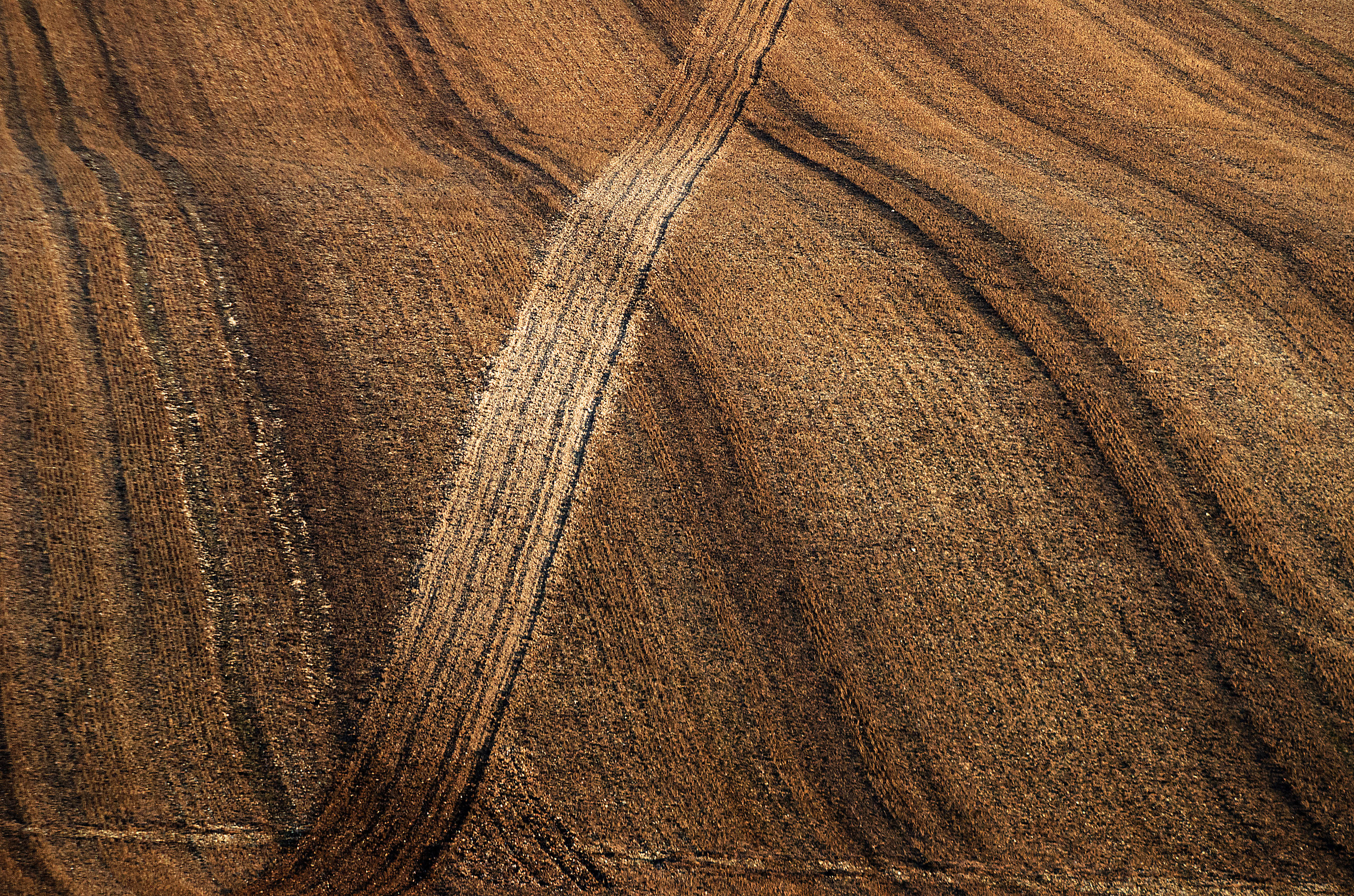 Fabric in the Fields