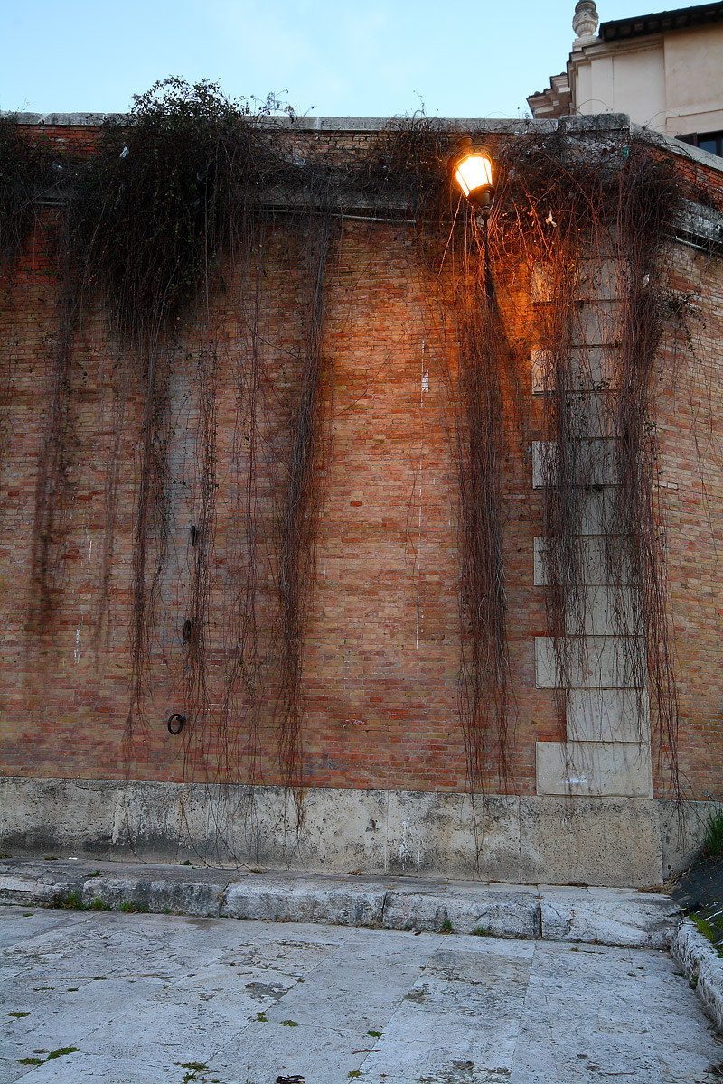 Tiber Island, detail.