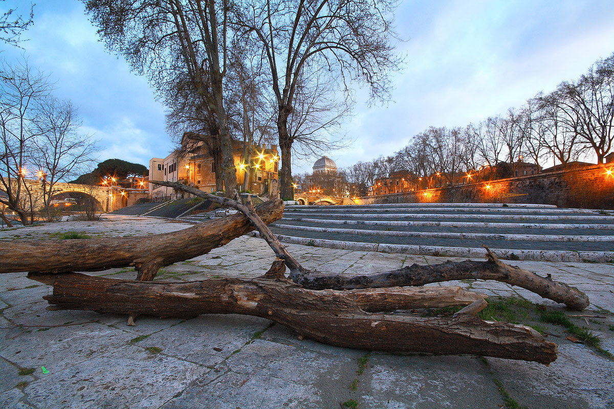 Tiber Island