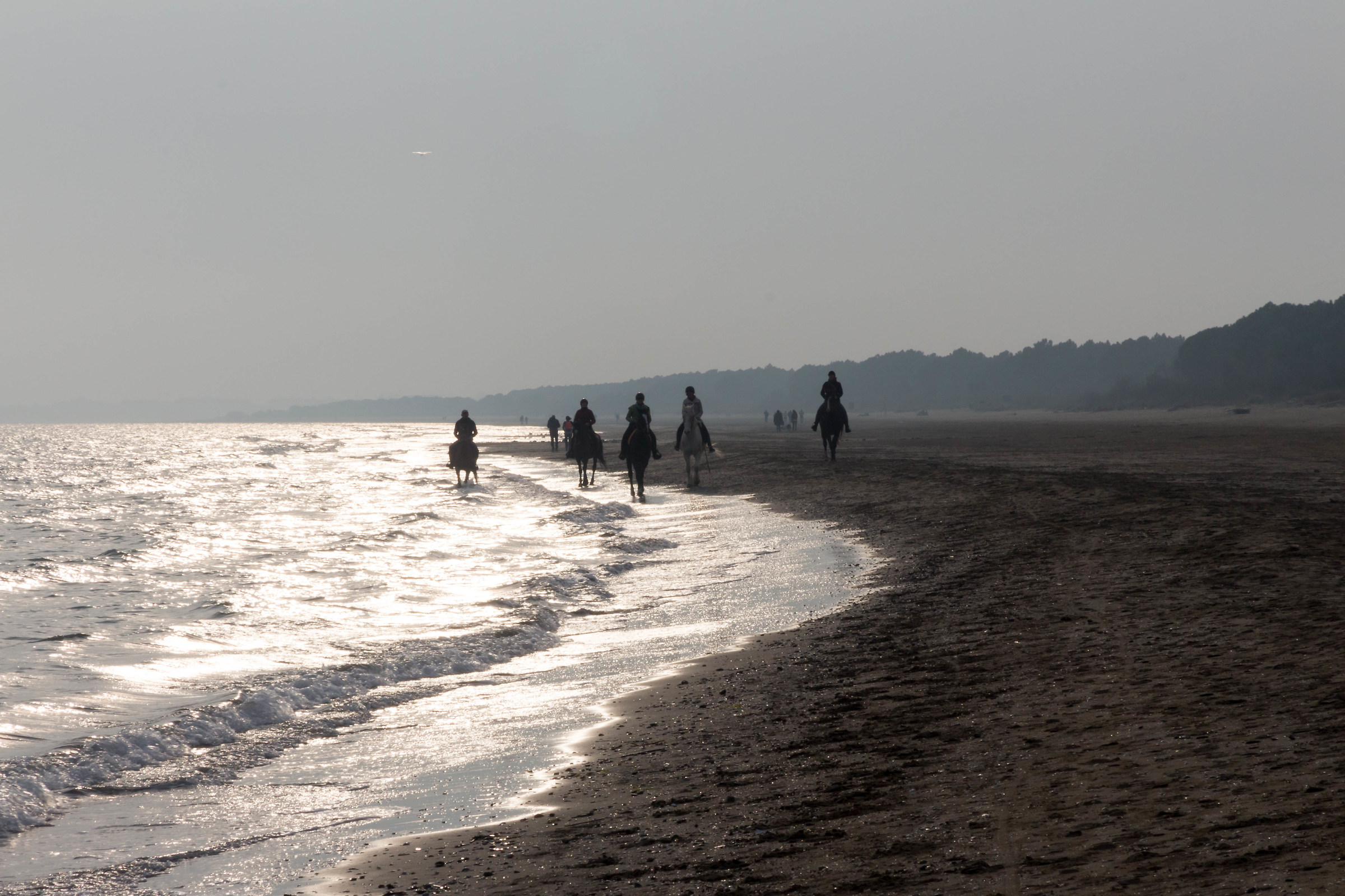 Riding in against light