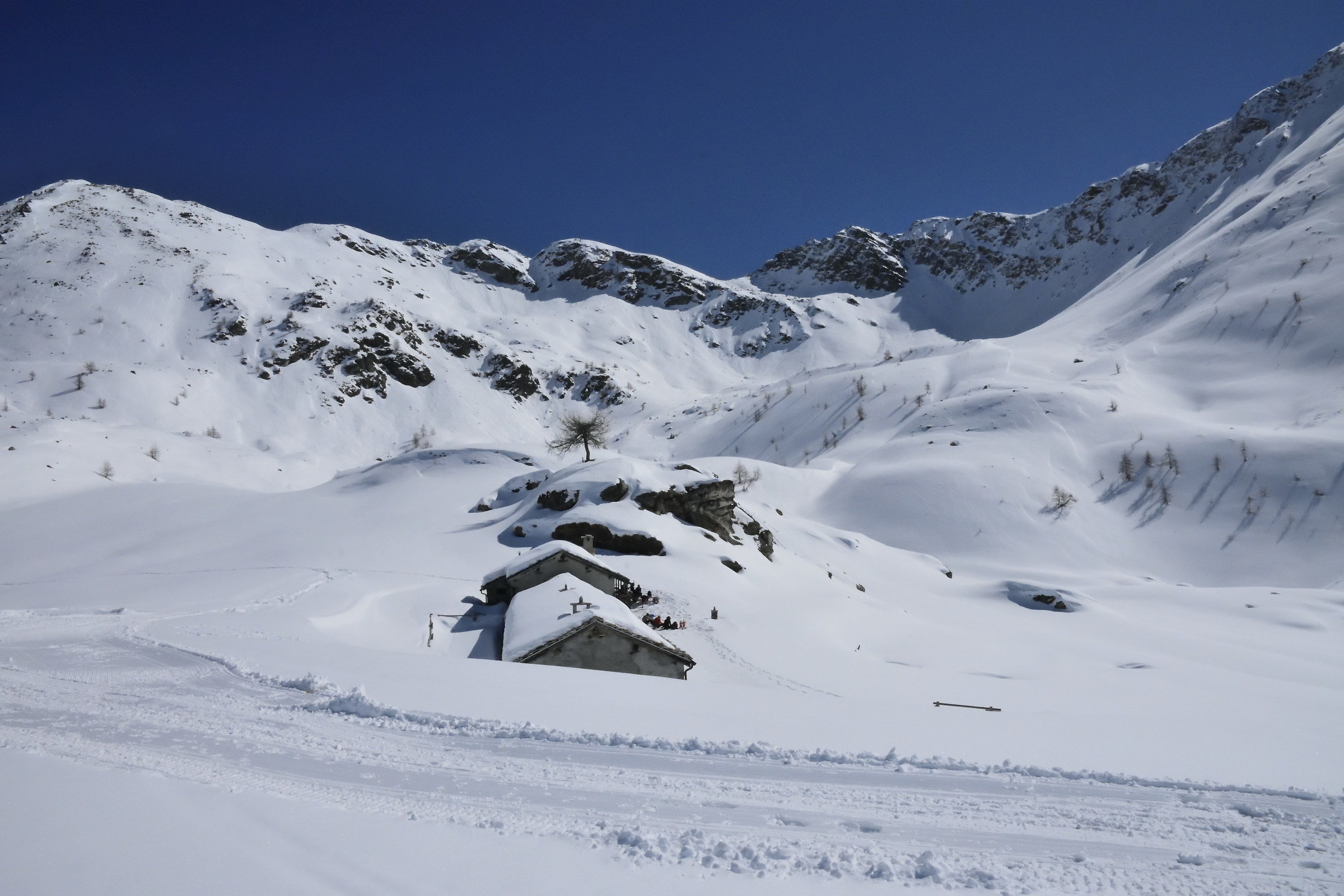 ns meta Alpe Champlong