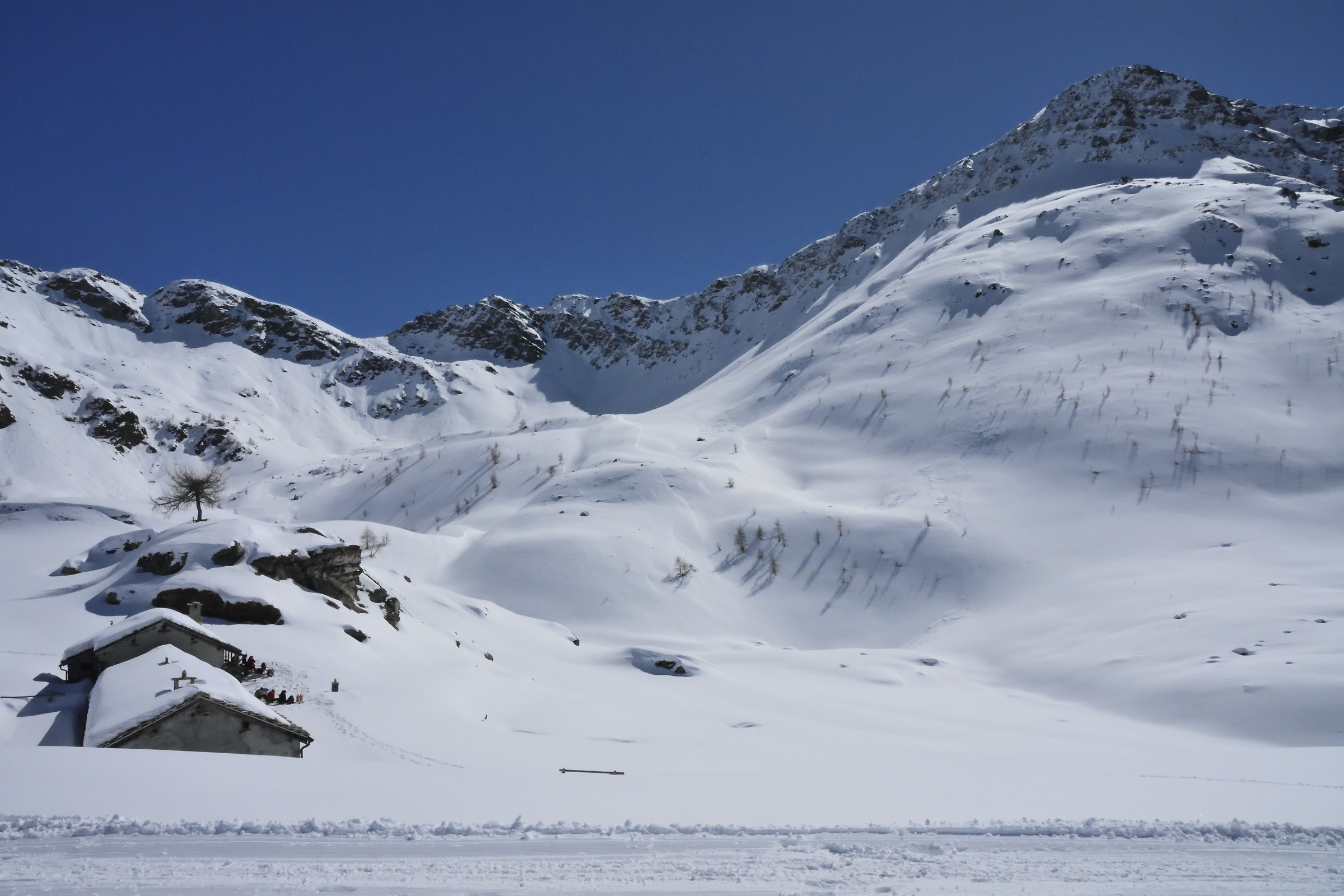 ns meta Alpe Champlong