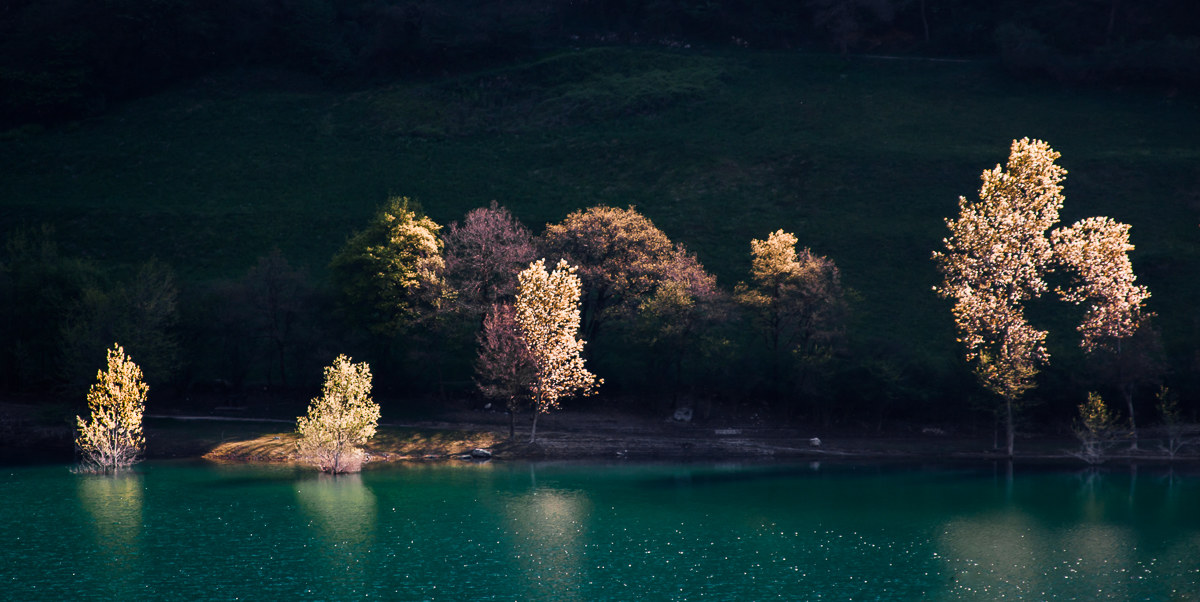 Schegge di luce sul lago