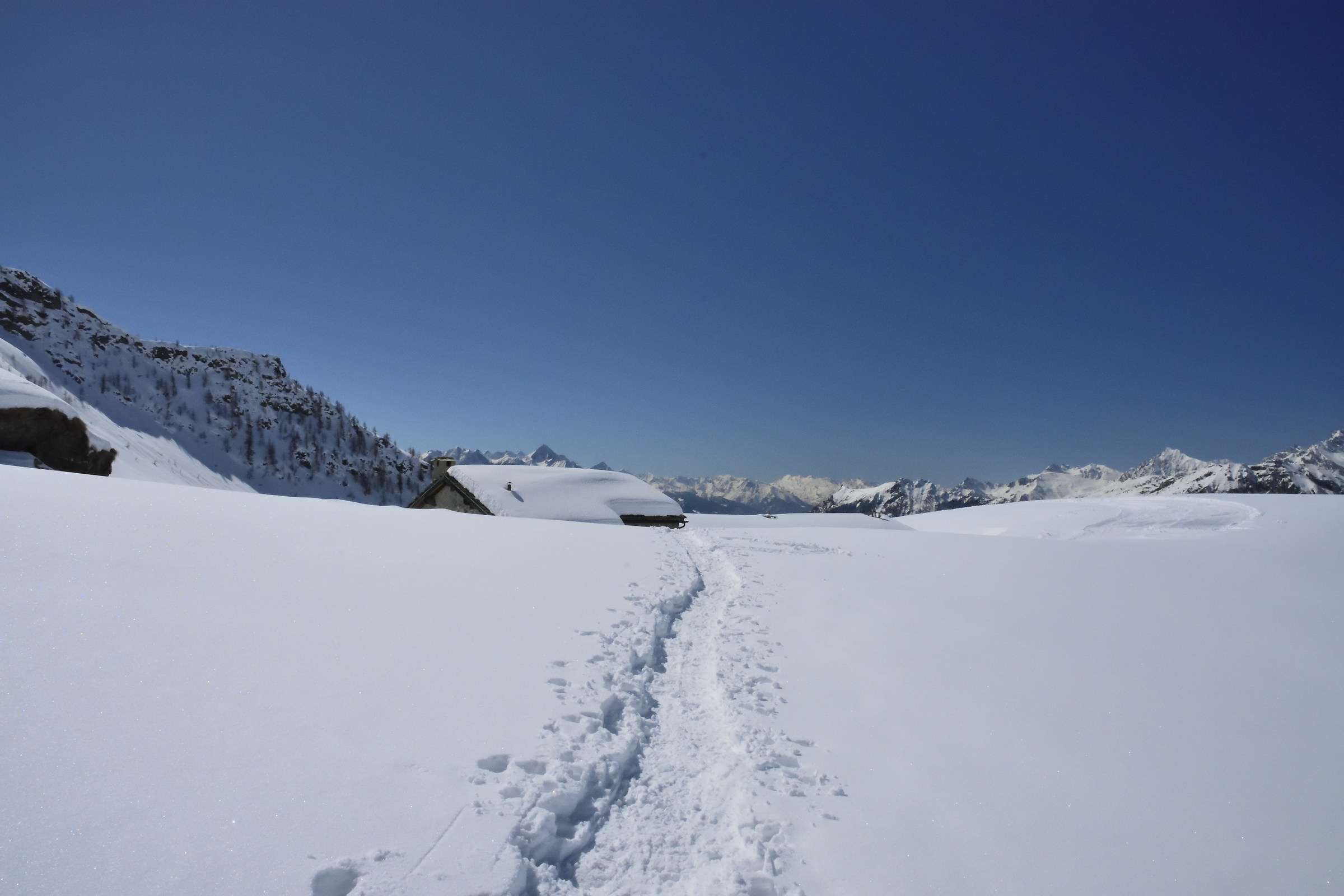 immersed in the snow