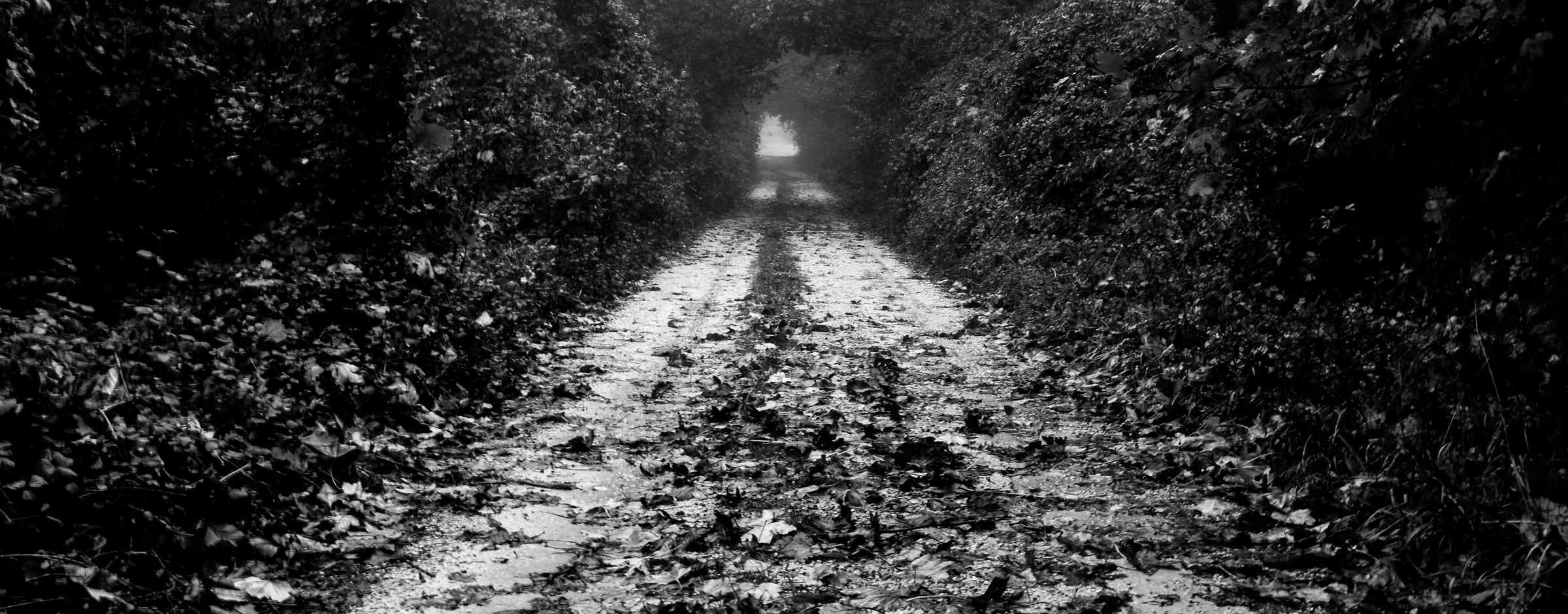 Solo un'altra strada