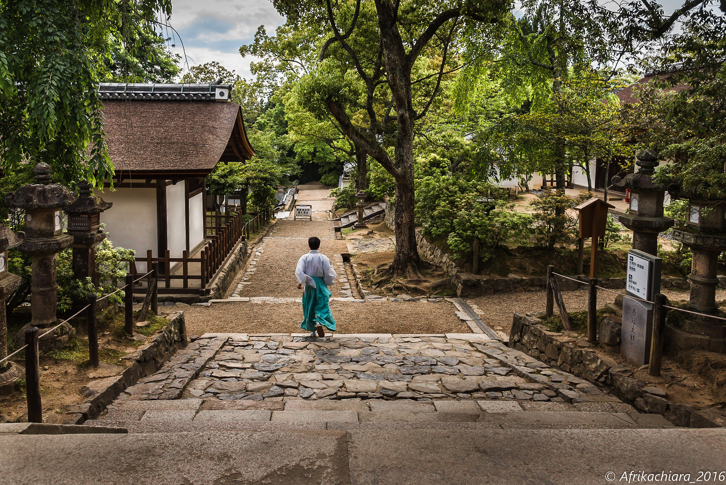 Nara, the heart of Zen Buddhism