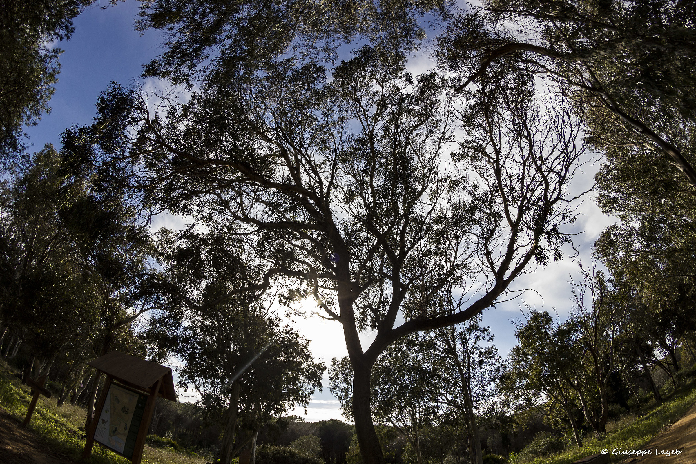 Borgo Bonsignore (Ribera)