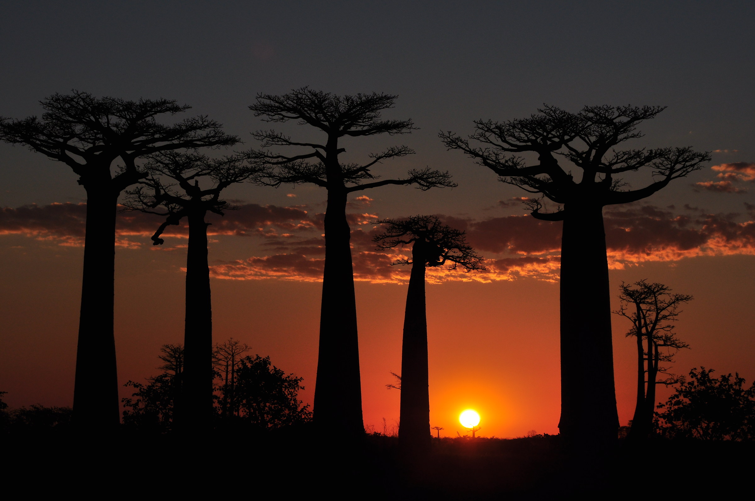 Sunset in Madagascar