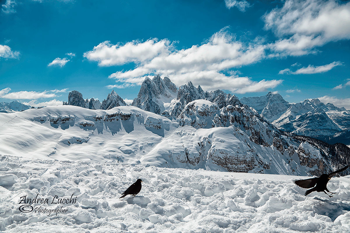 i Cadini di Misurina del rifugio Auronzo