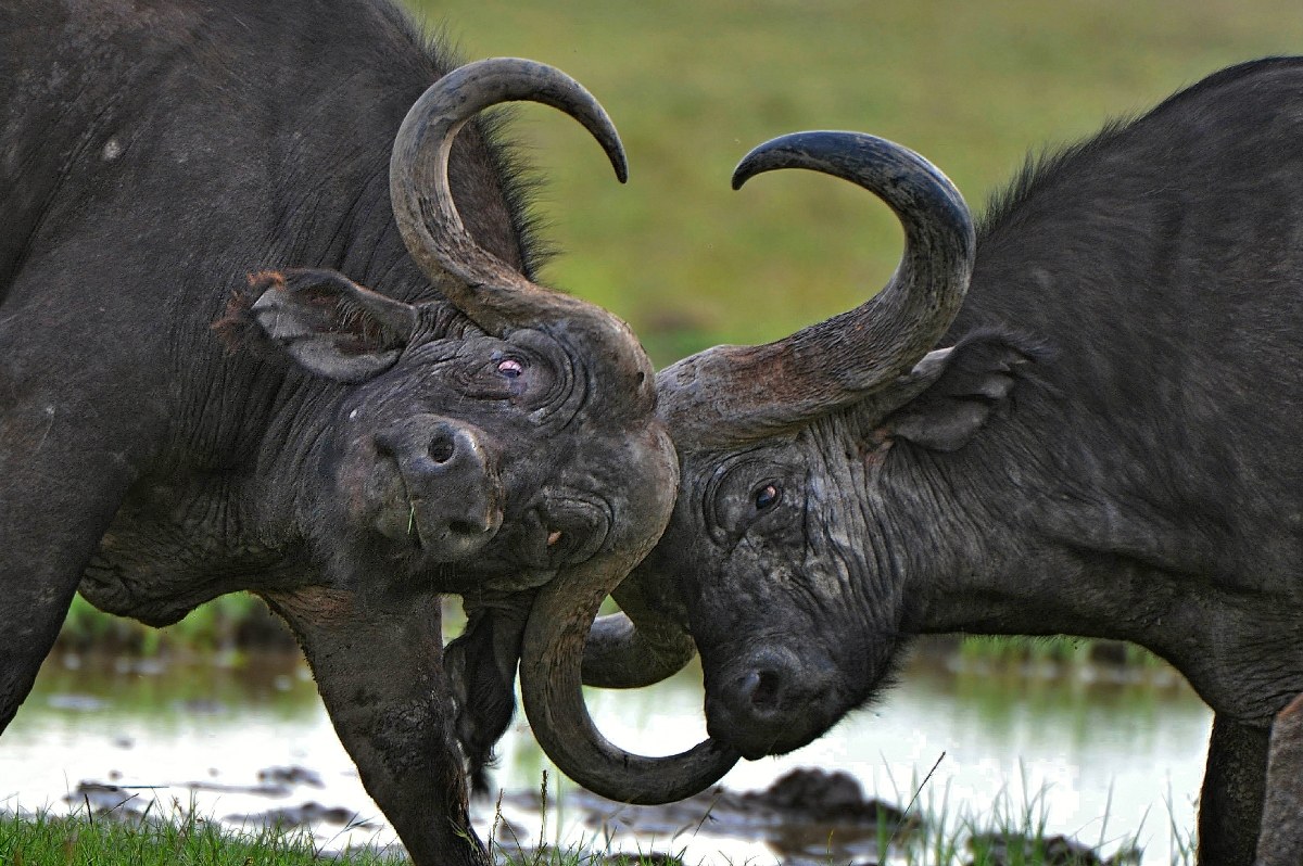 In fondo ci vogliamo bene