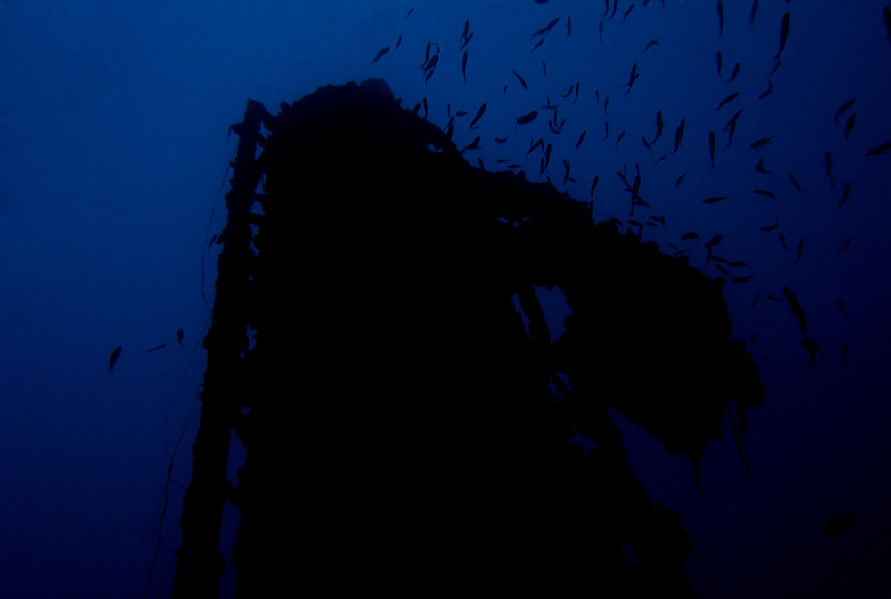 Comignolo relitto Haven