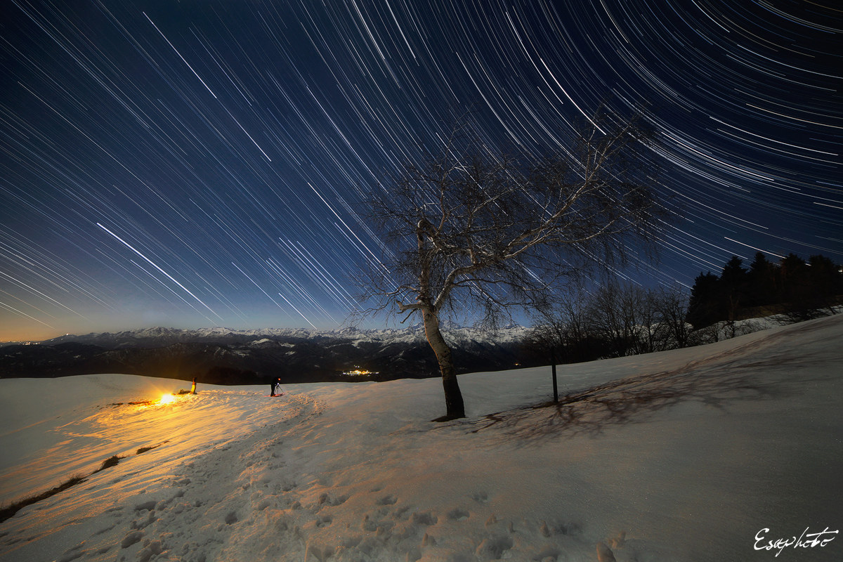 The stars of the dance