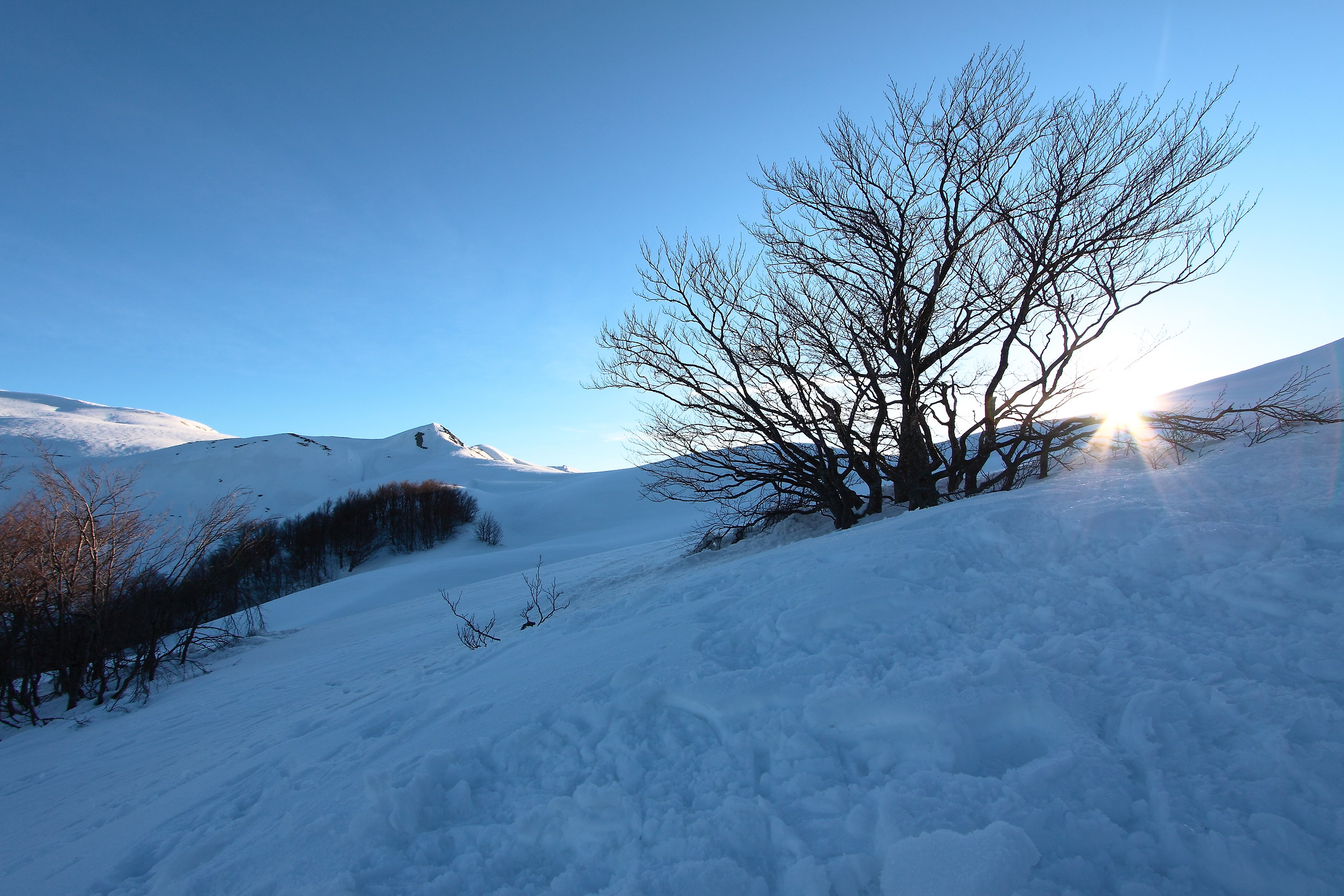 Sunrise from Battisti