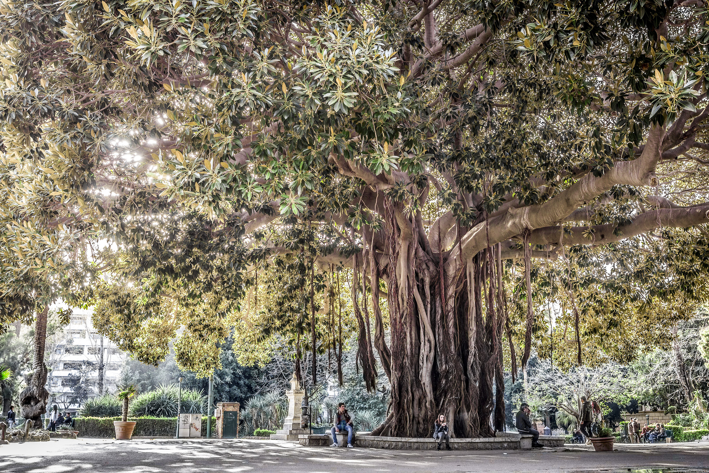 Giardini inglesi palermo