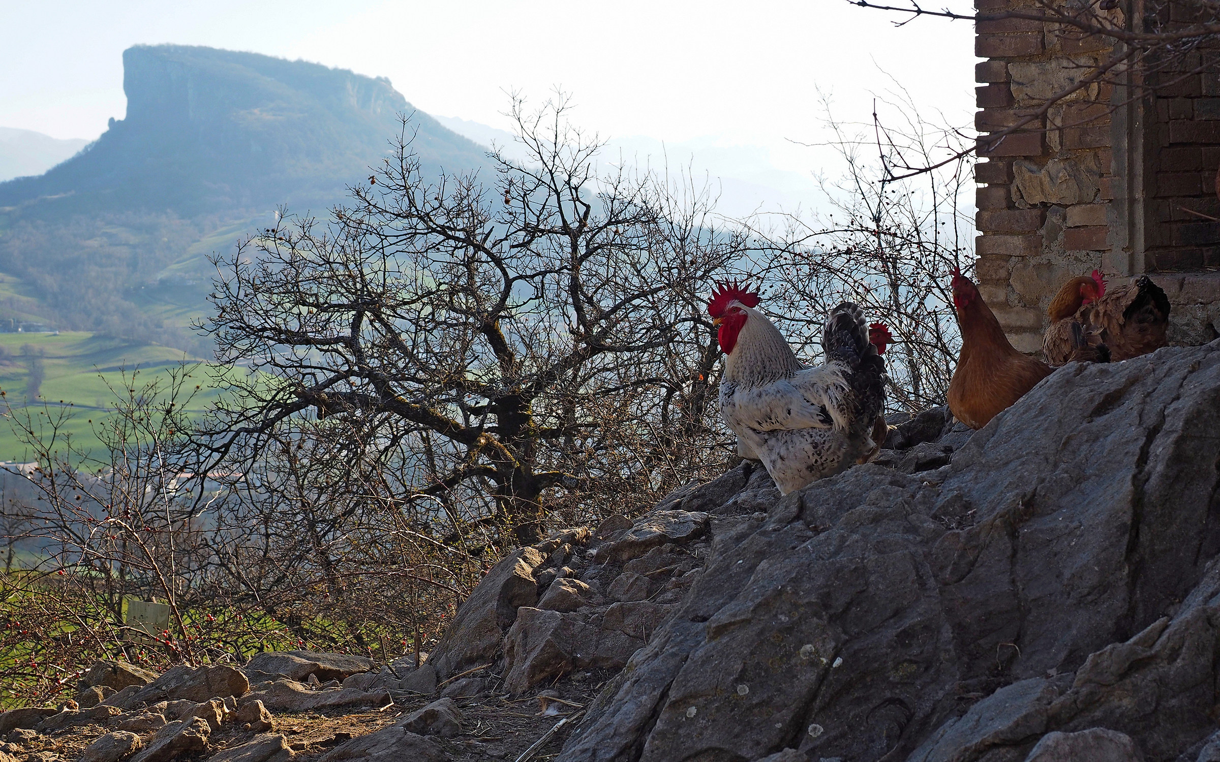 Bismantova from Pietradura