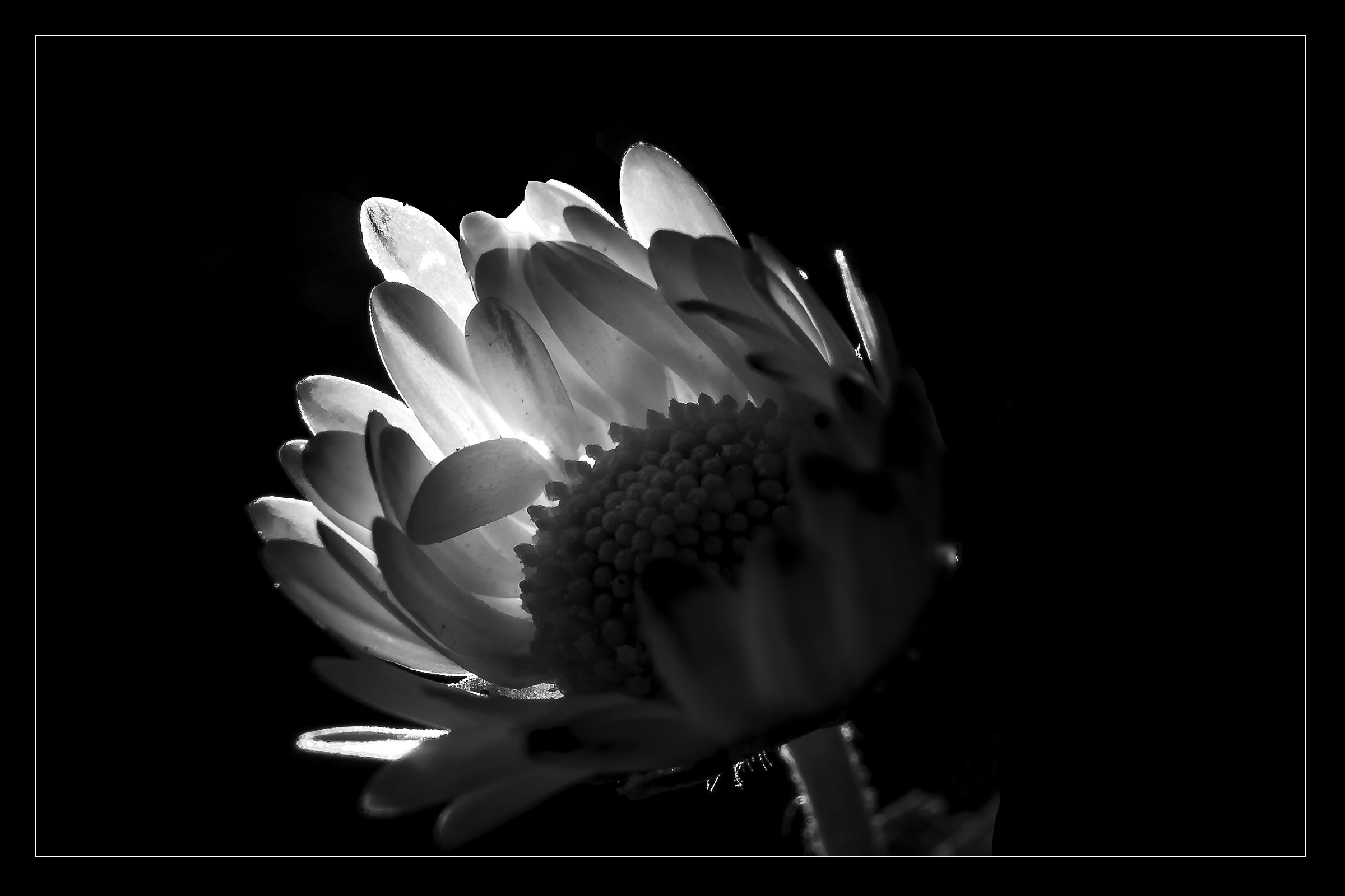 Hello darkness my old friend