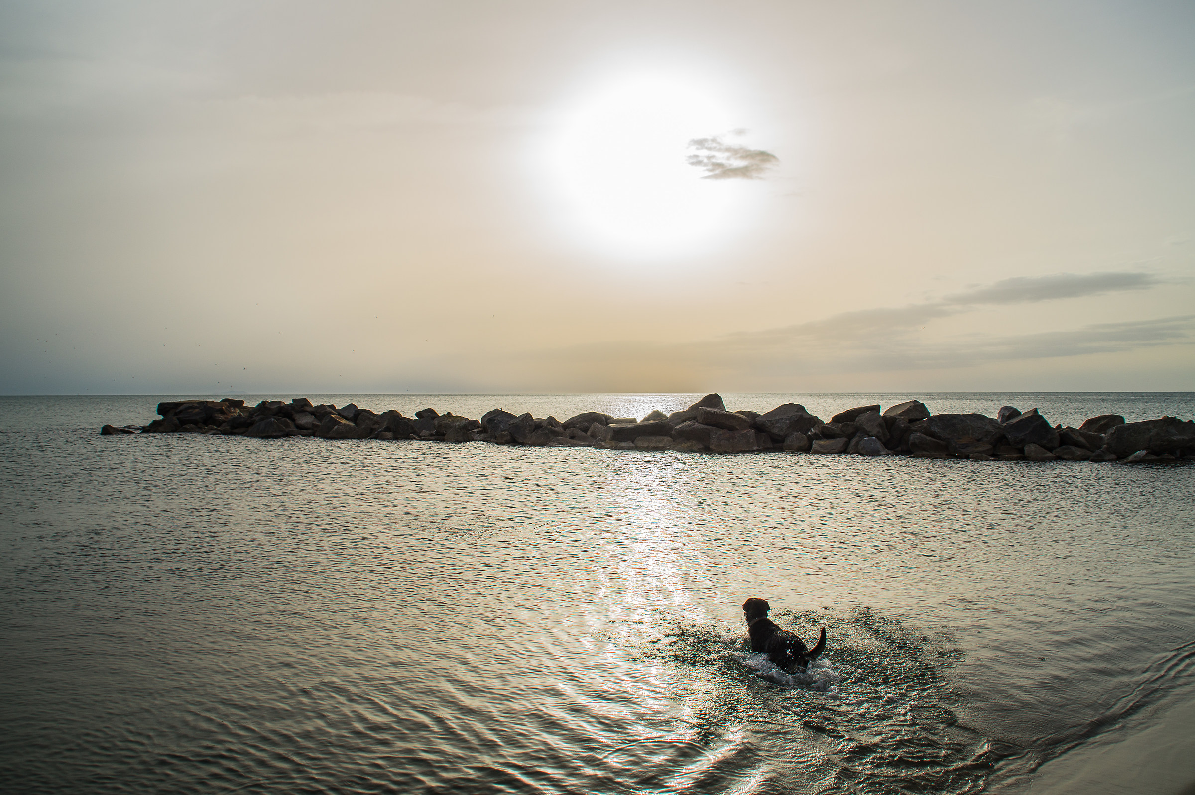 Tramonto con la mia migliore amica