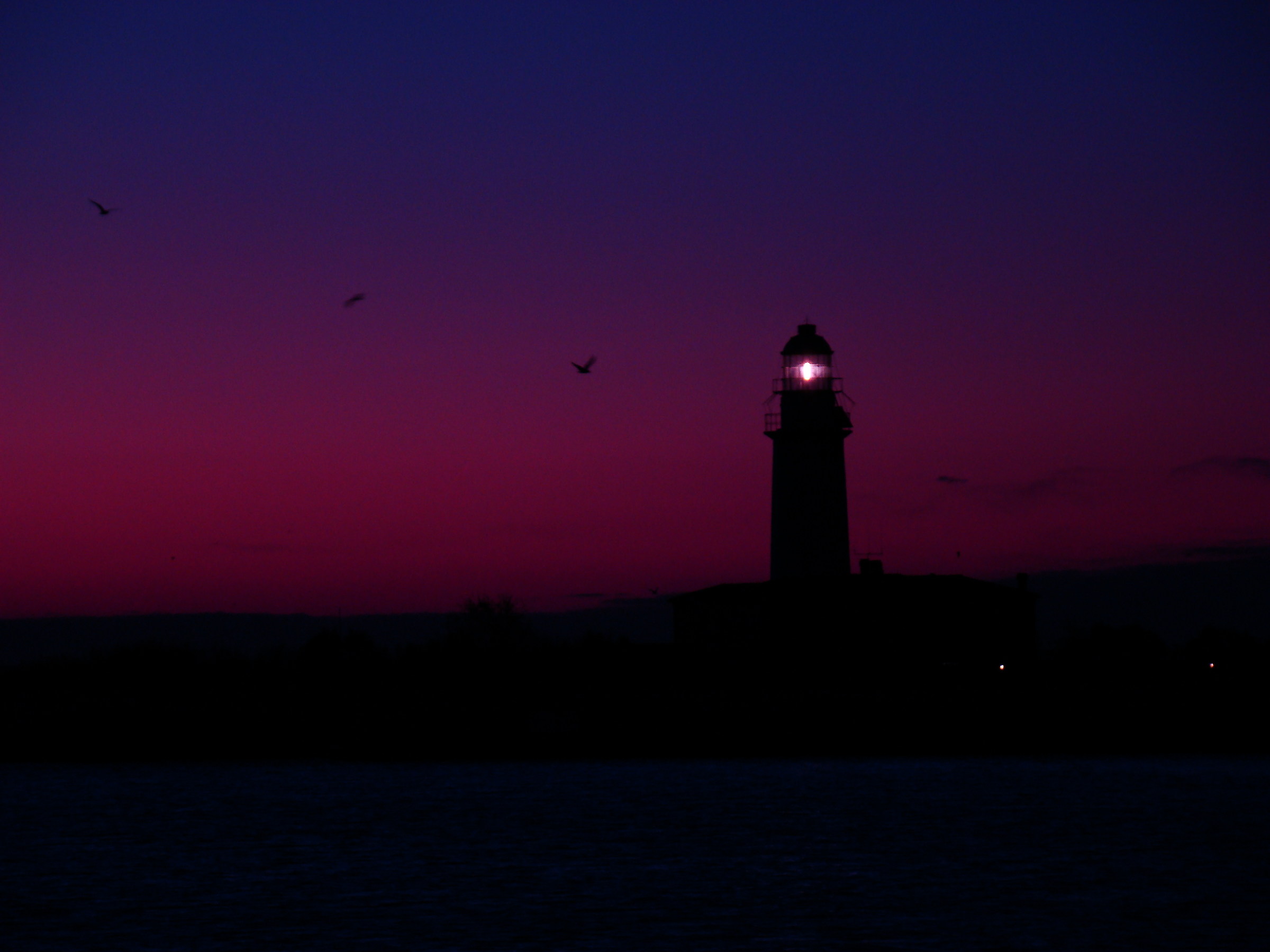 Faro di Goro (Fe), Novembre 2008