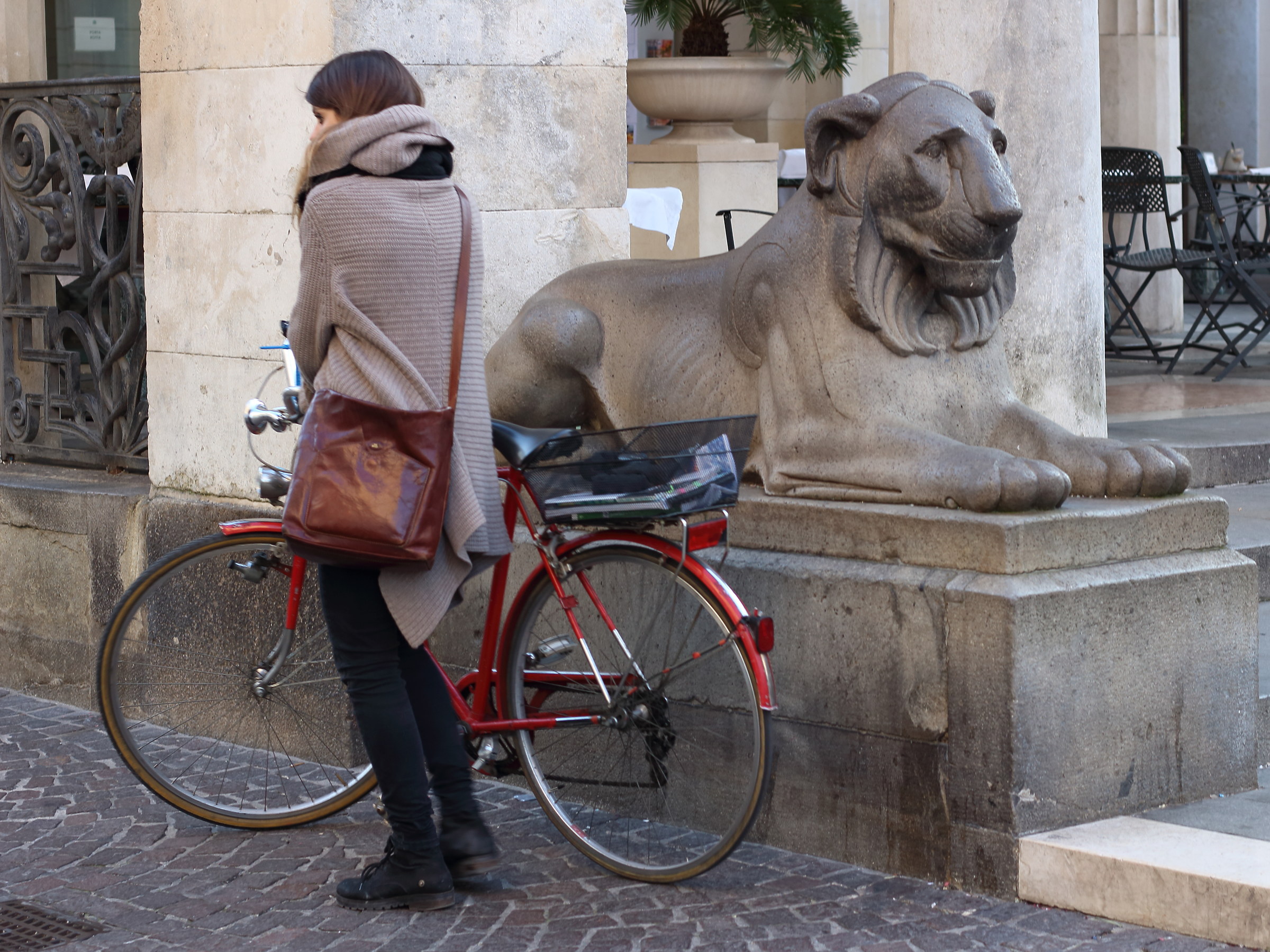 Il leone e la gazzella