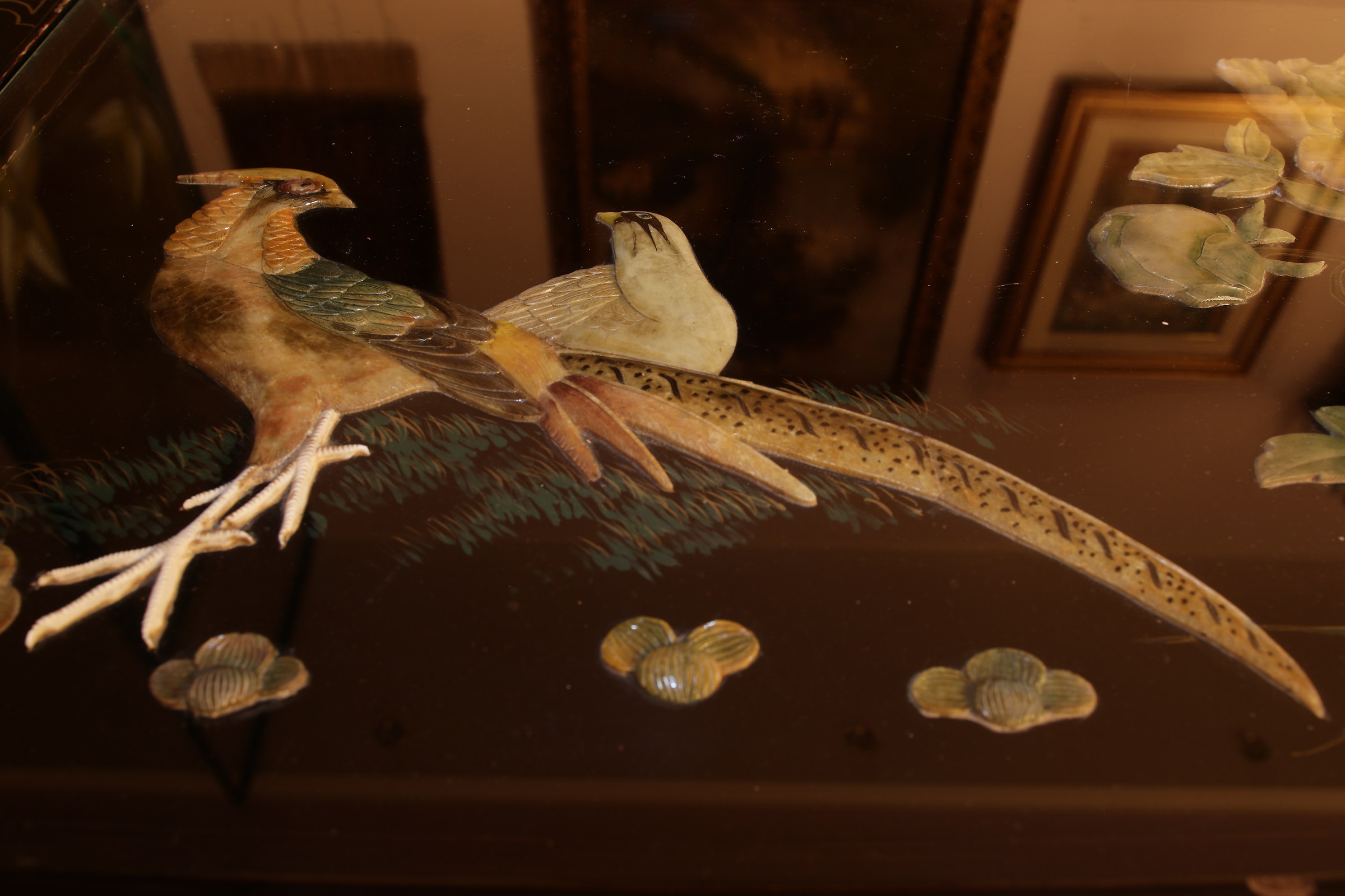 la lunga coda del fagiano