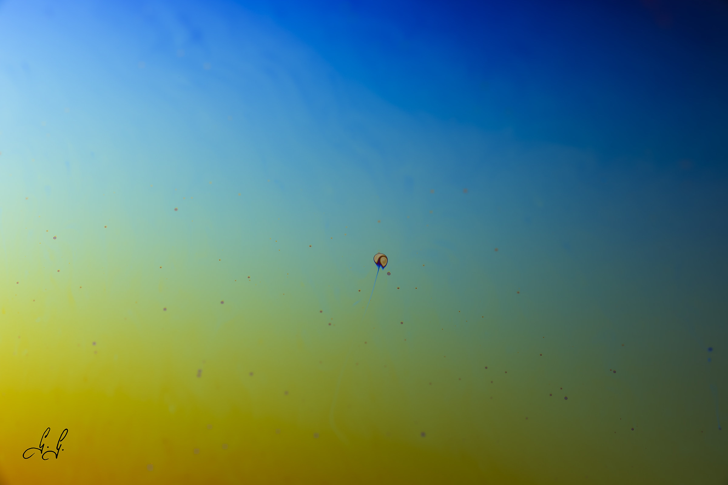 Illuminando una bolla di sapone VII .