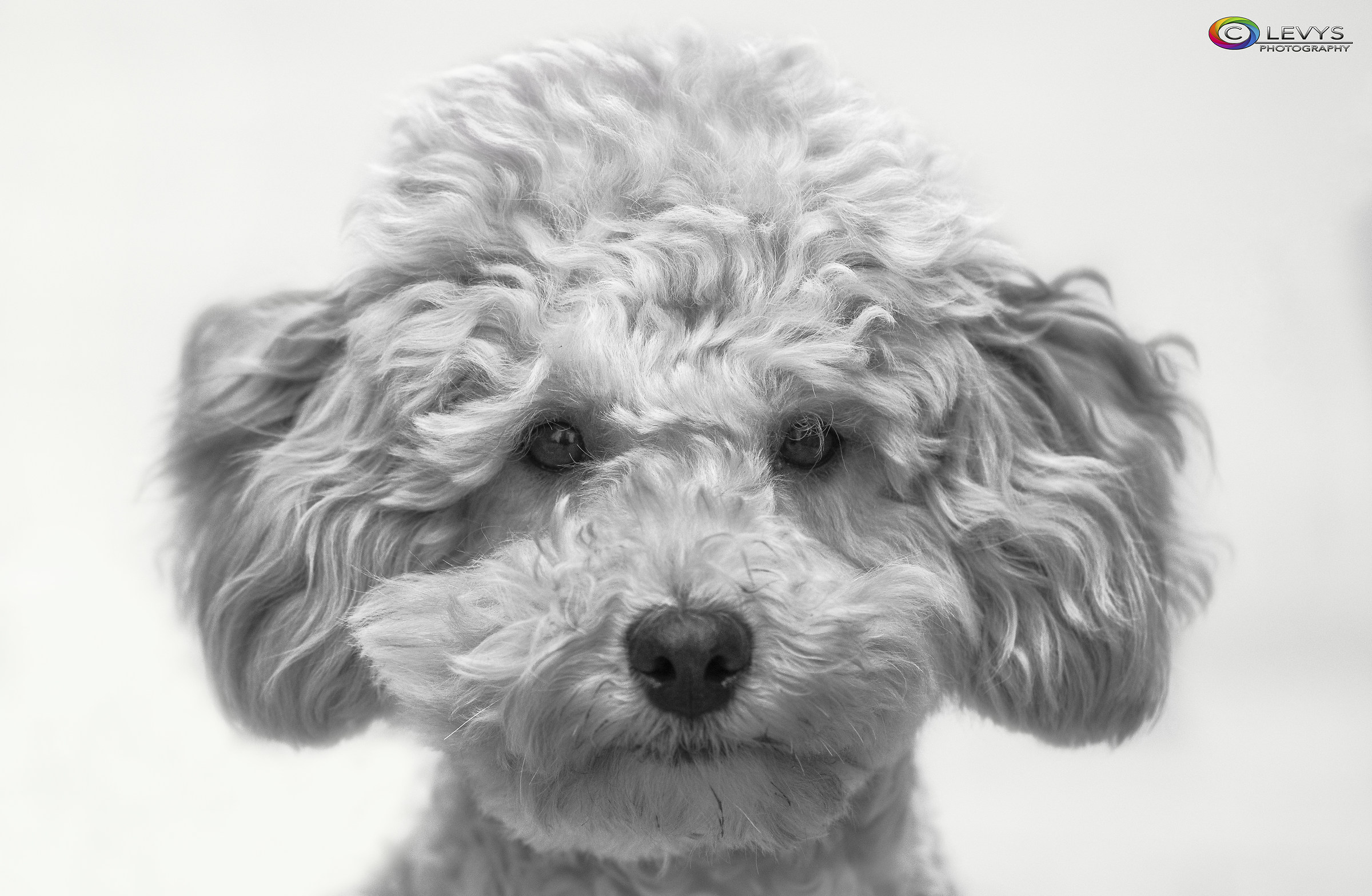 ciao ! Mi chiamo Juza