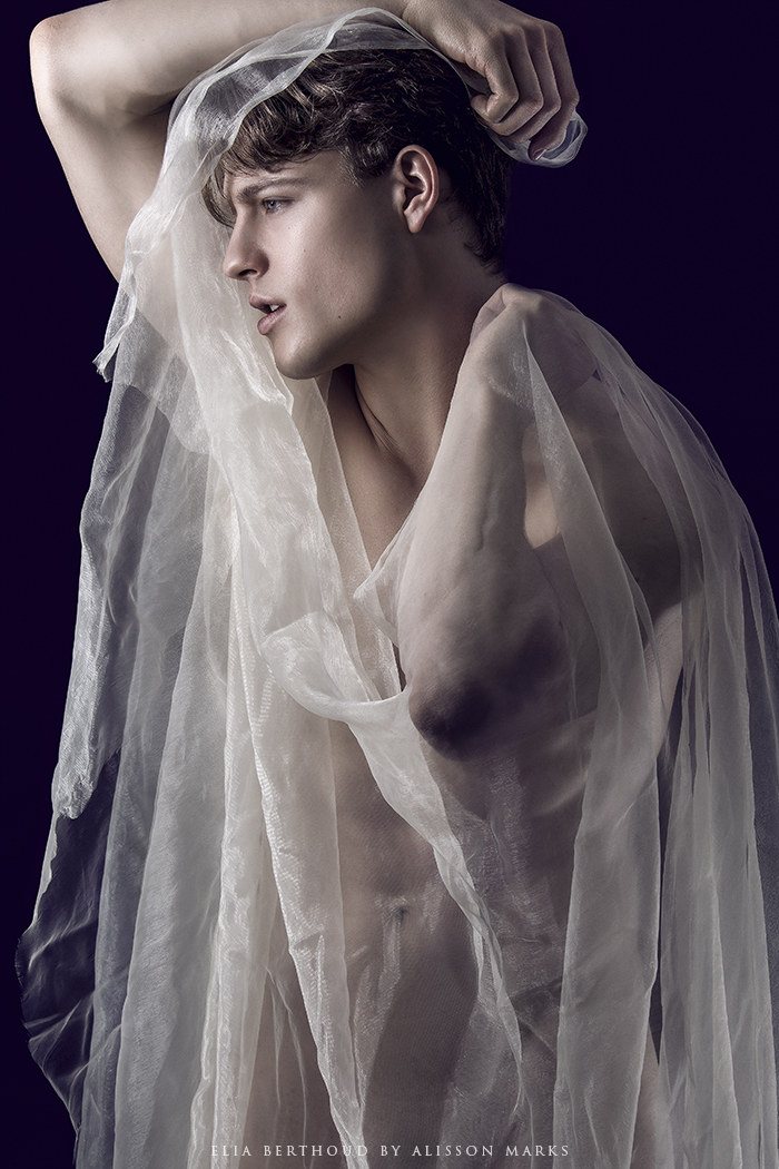 Elia in Curves Series