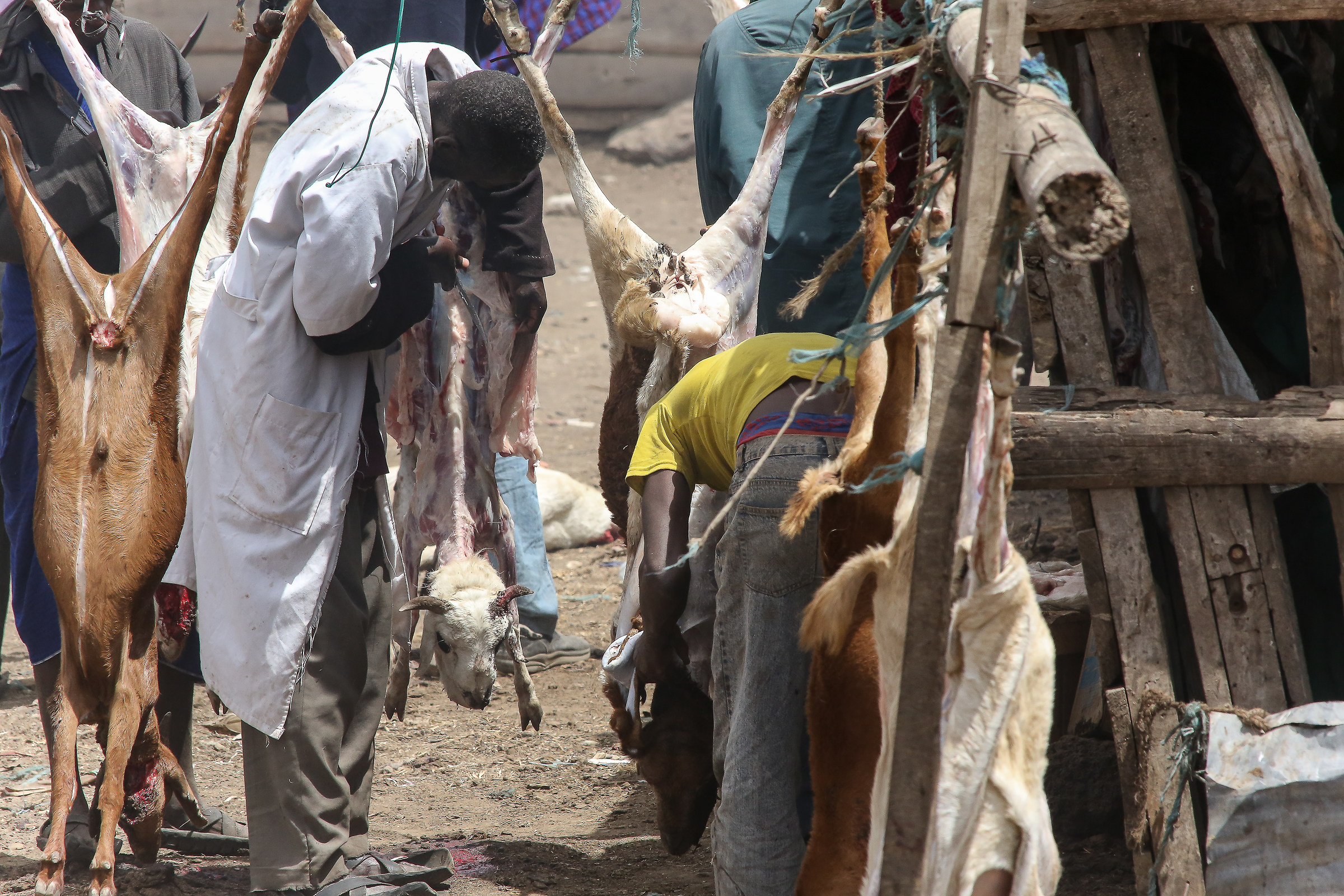 Abattoir in Tanzania