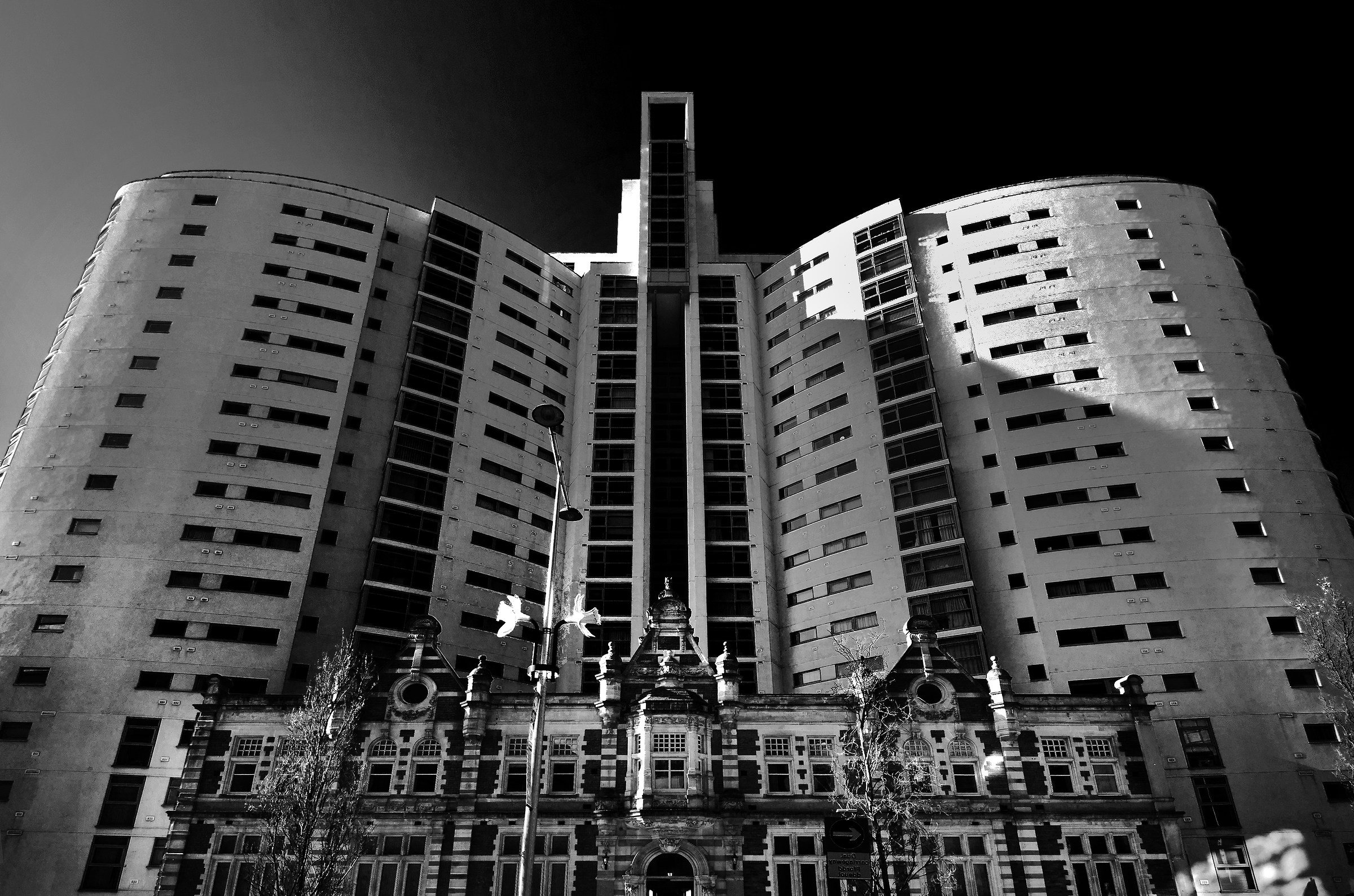 The Altolusso - Reworked and Re-imagined