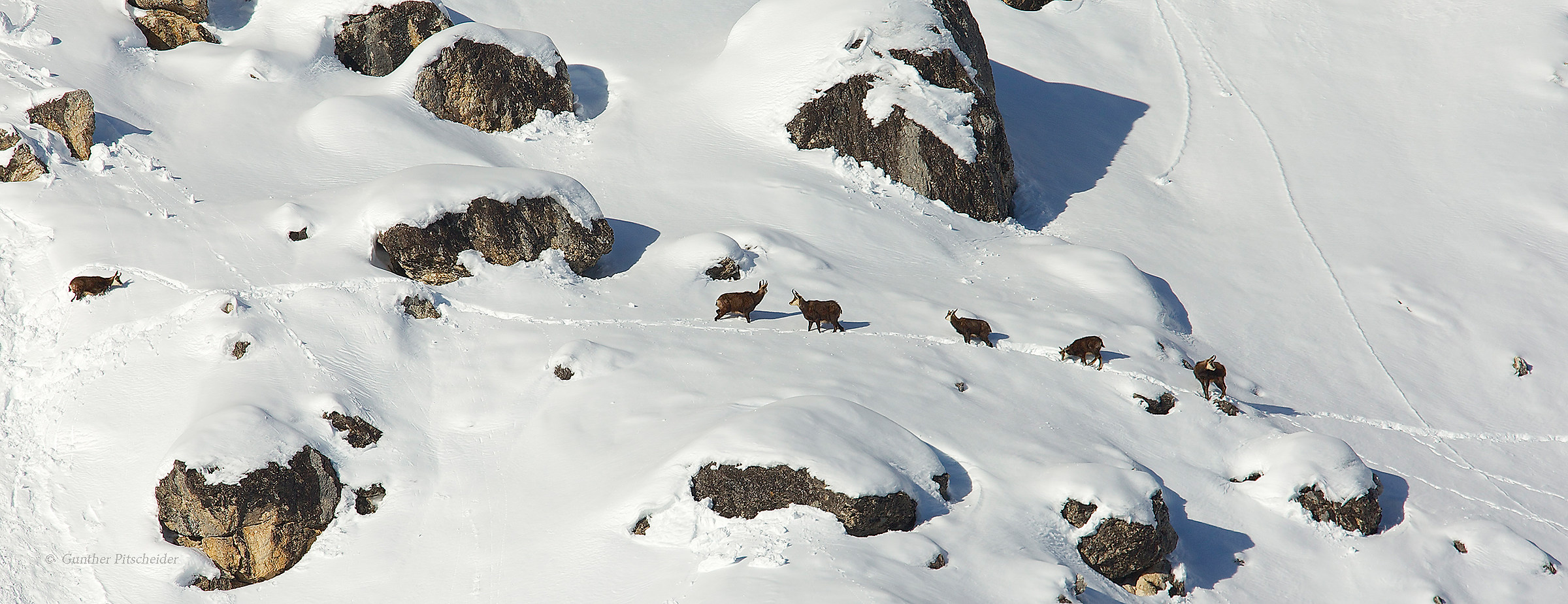 Aspettatemi !!!!! non c'é la faccio più.