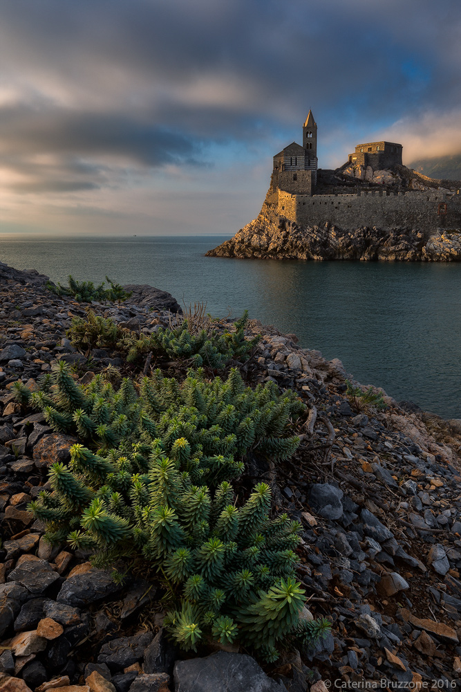 Il giardino di San Pietro