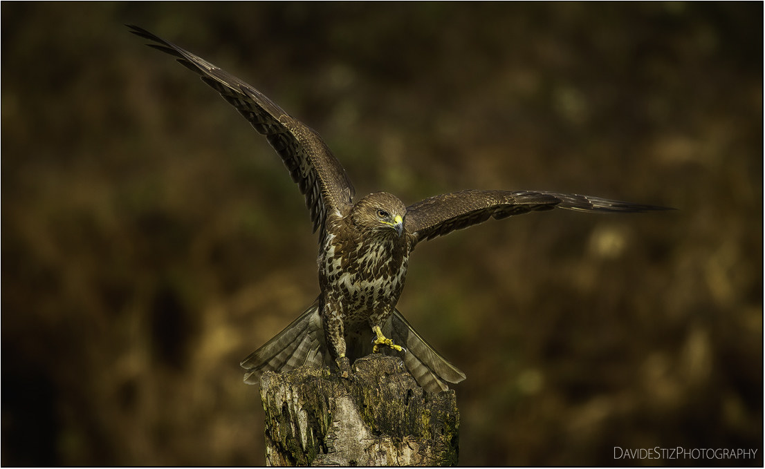 a moment that I settle ...