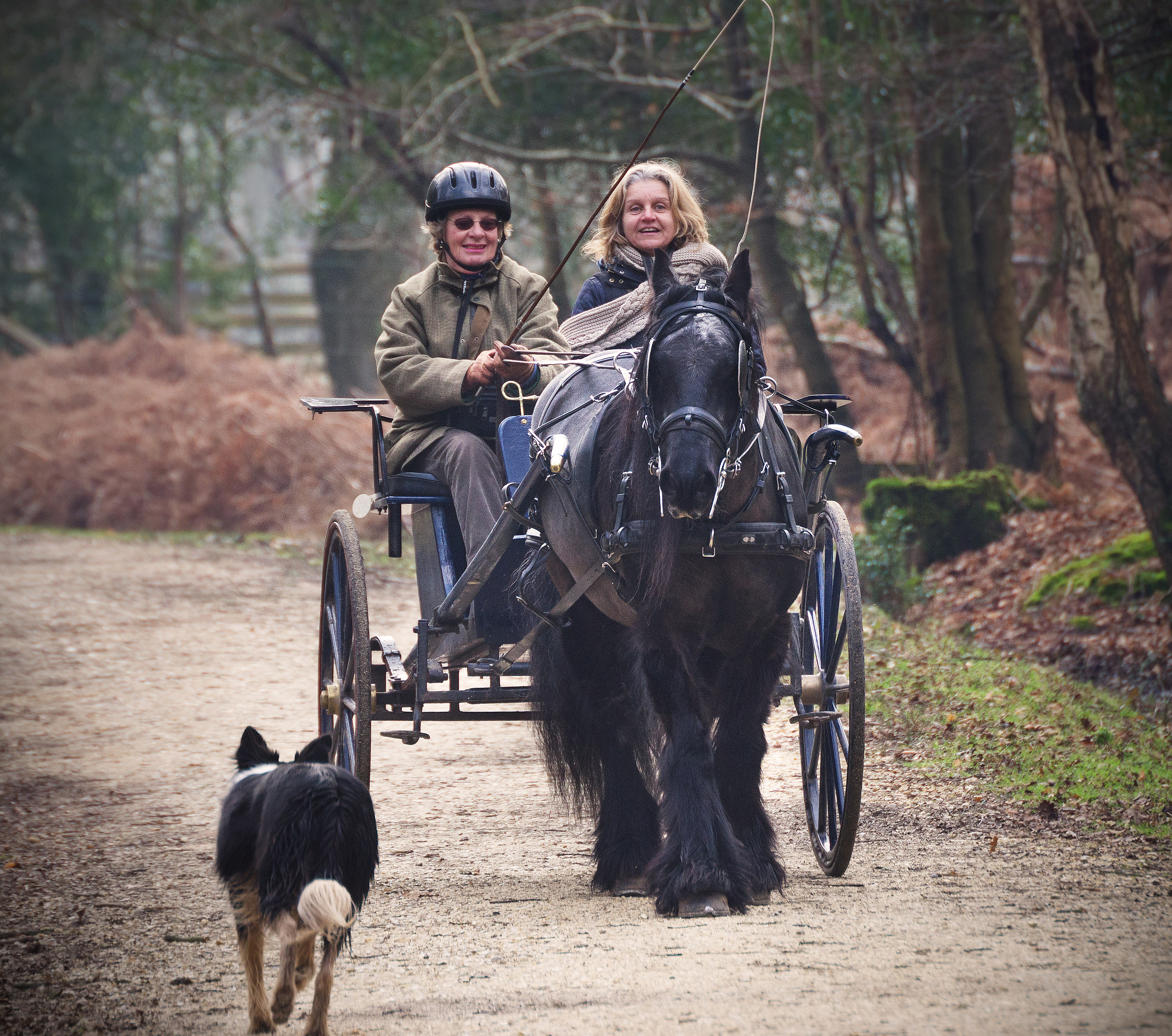 Taking a Ride whilst training the Sheepdog!