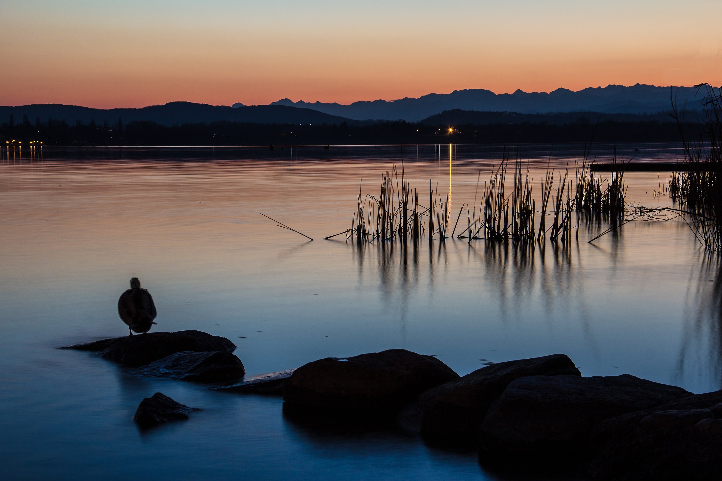 Zen corner on the lake ...