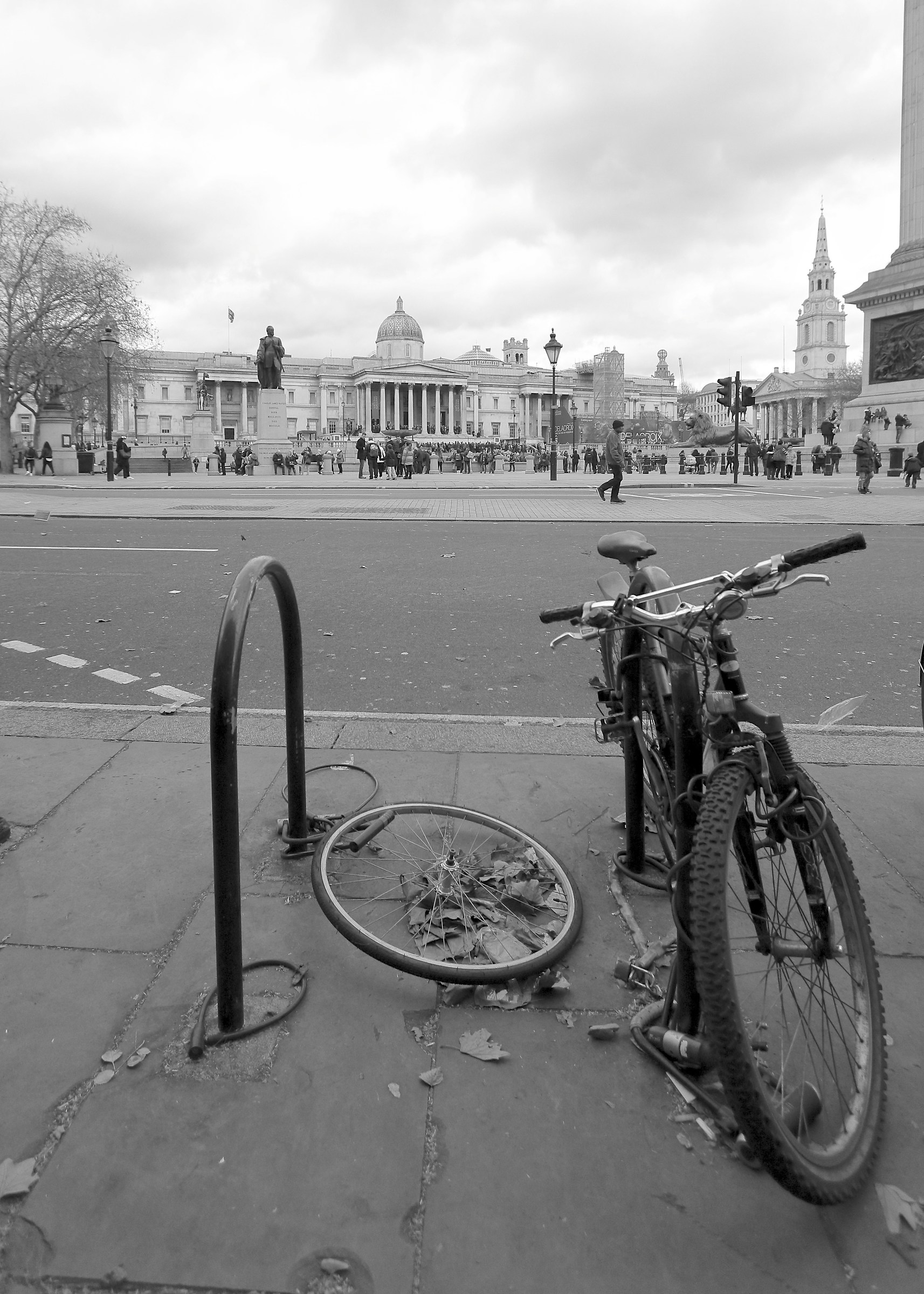 Tutto il mondo è paese