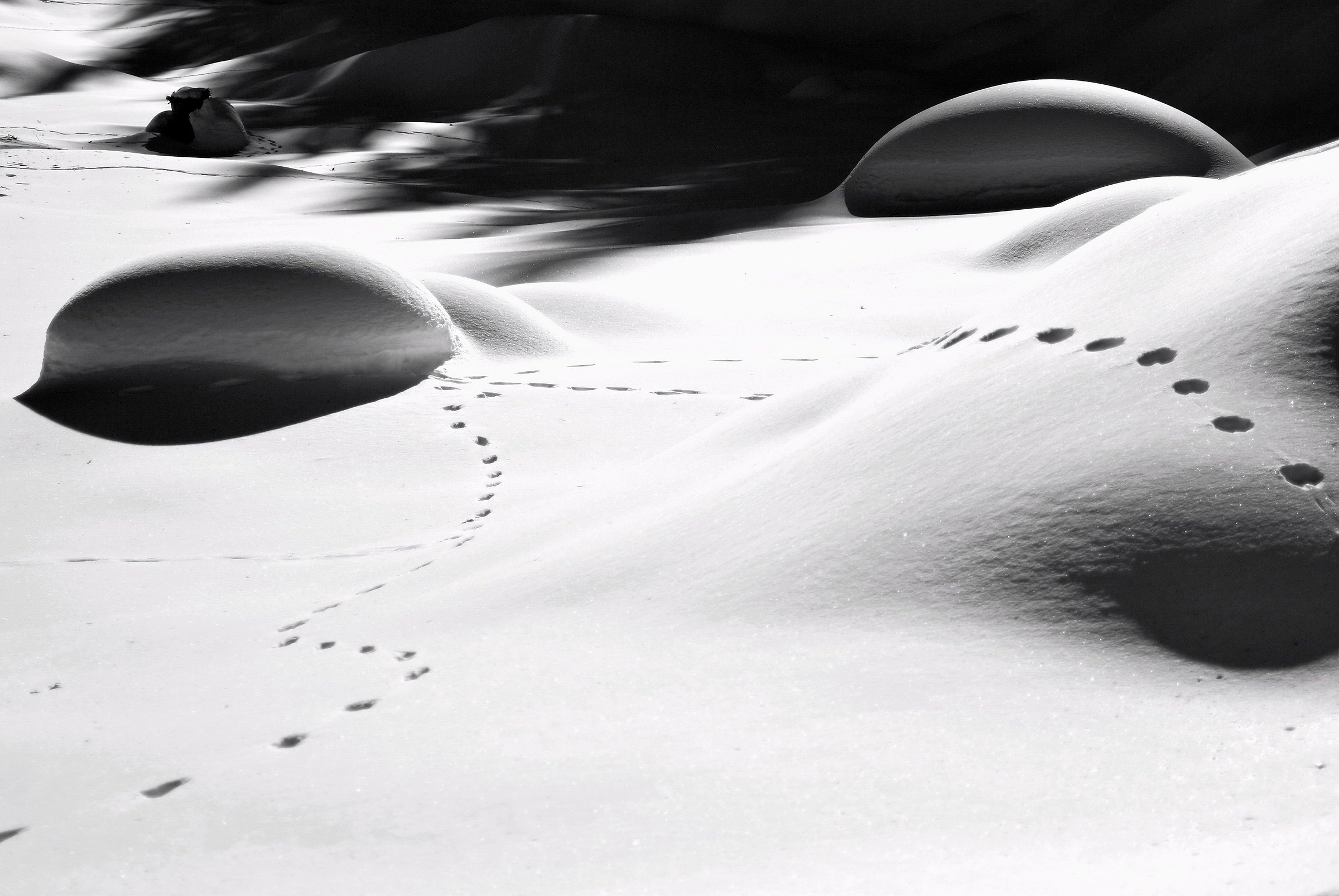 Le forme dell'acqua 6