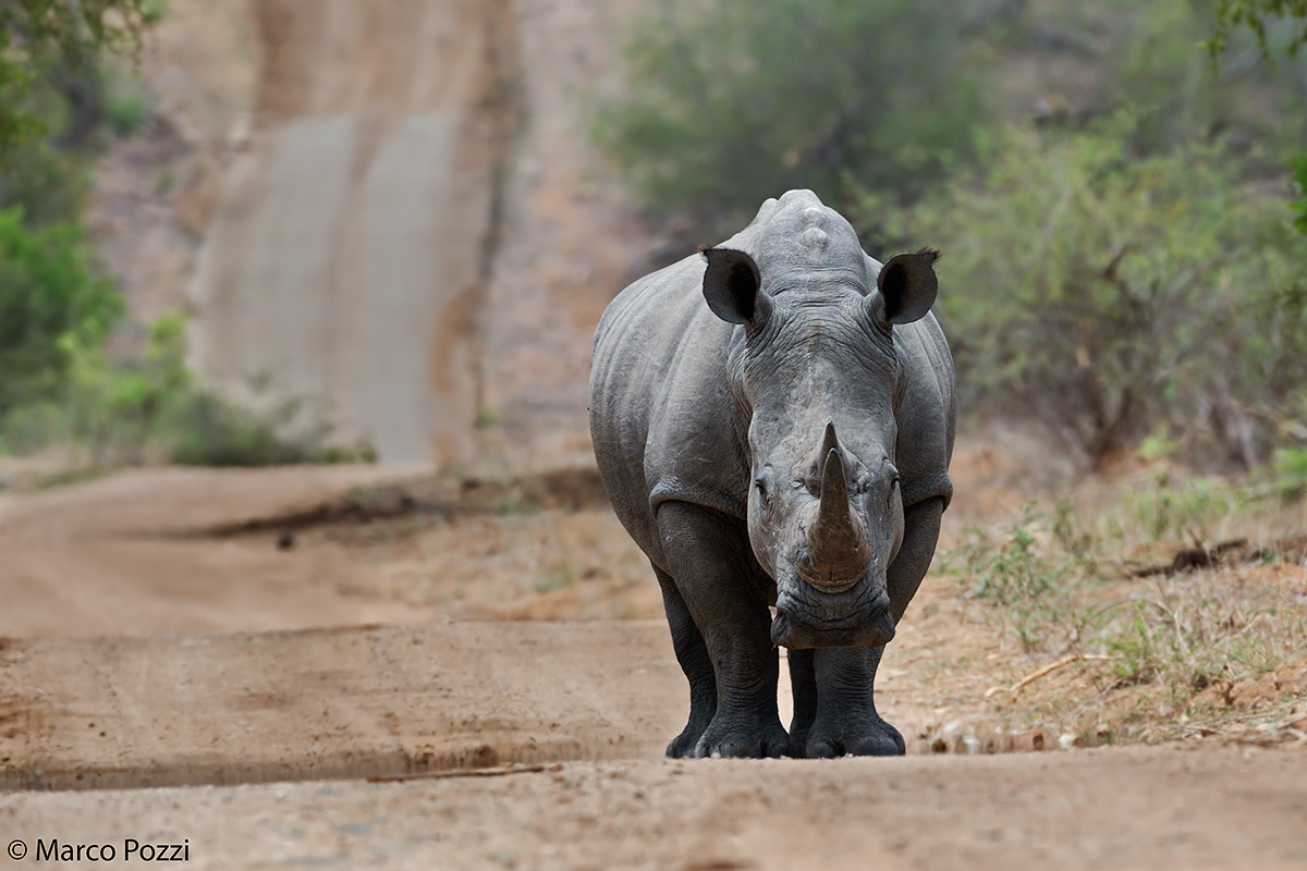 Hence we do not pass !!