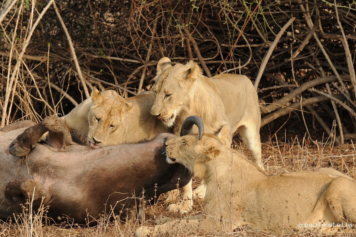 il pranzo..è servito