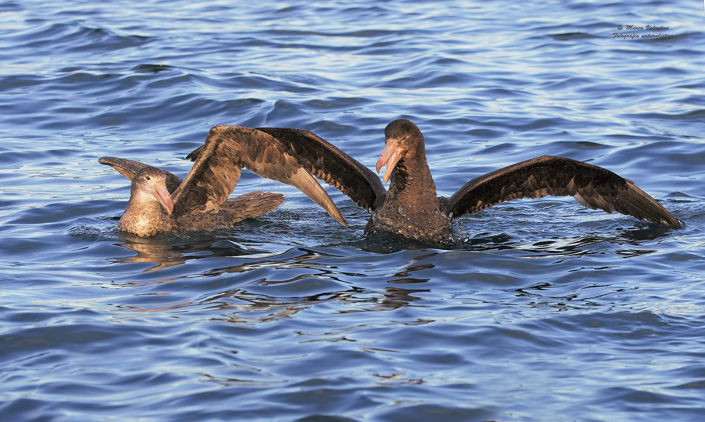 The beginning of contention