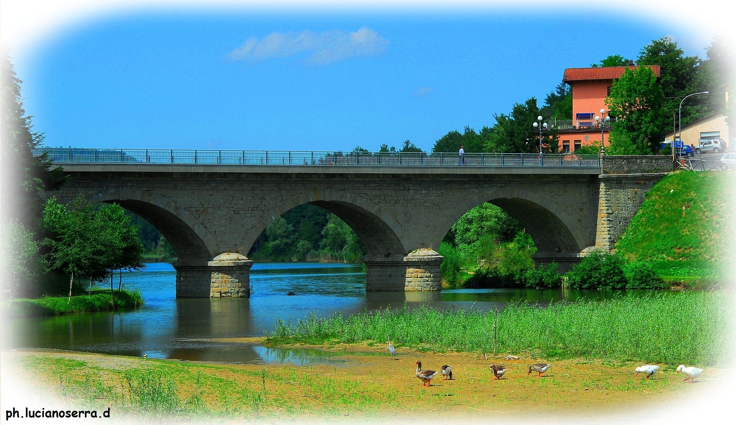 Il laghetto di Castel dell'Alpi (Bo) in estate