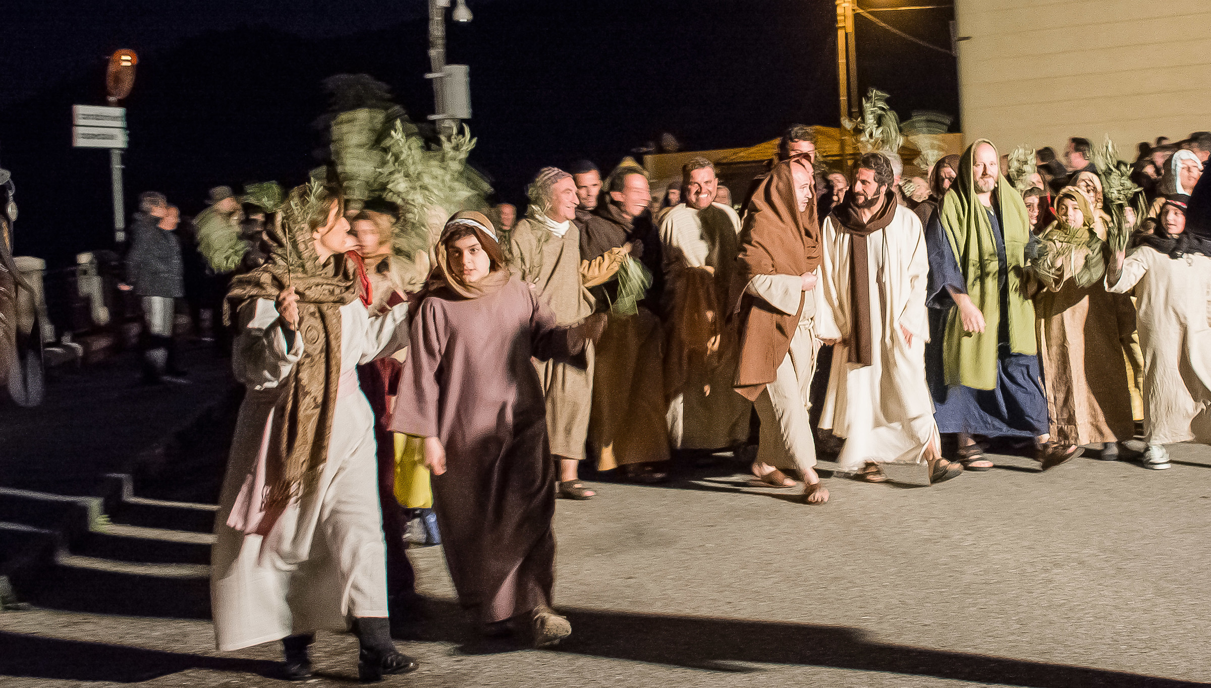 Gesù viene accolto in trionfo (Palma)