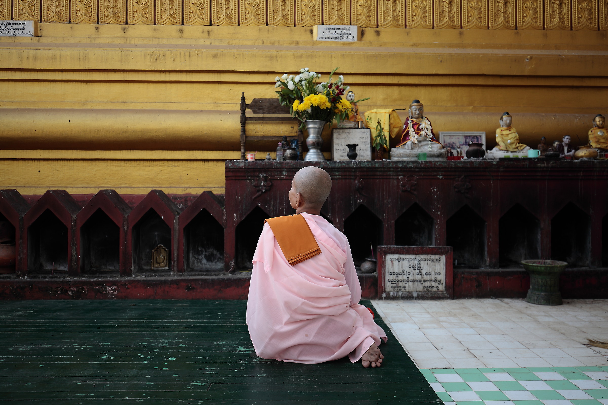 Burmese monk in contemplation
