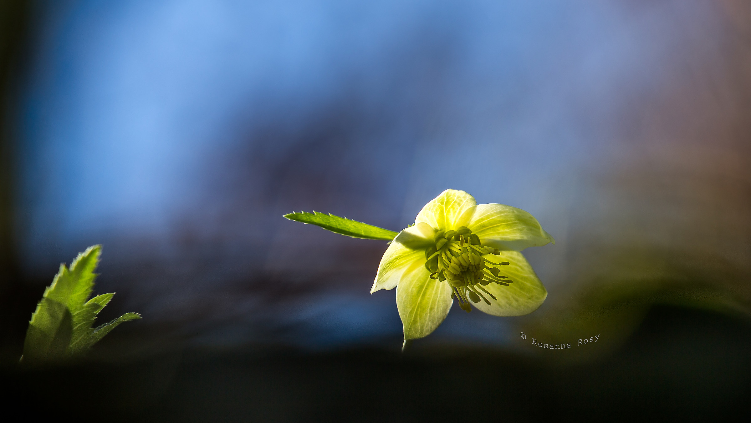 Details of light ...