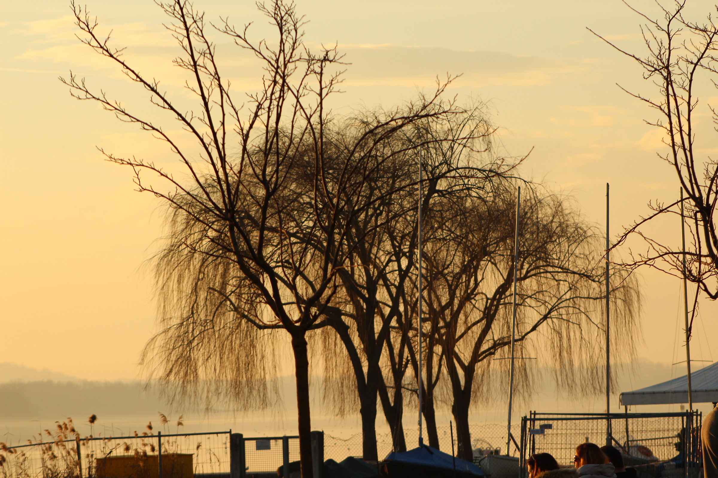 tramonti lago di varese