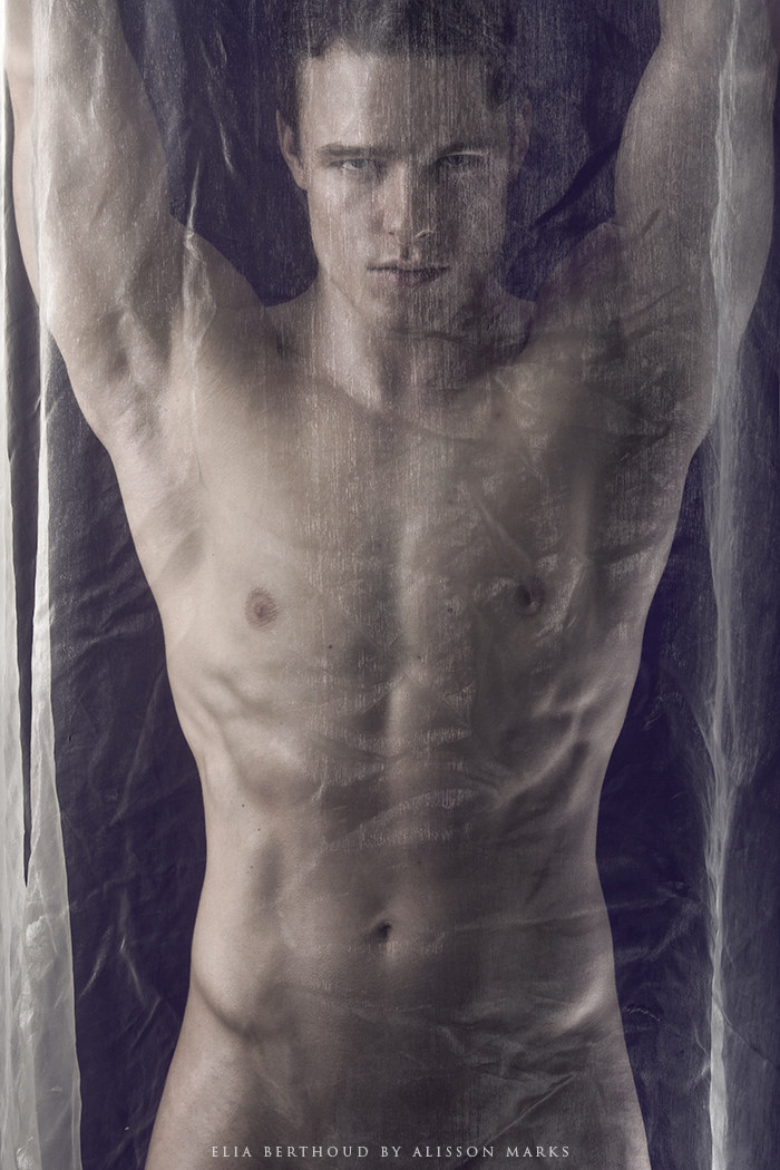 Elia in Curves Series