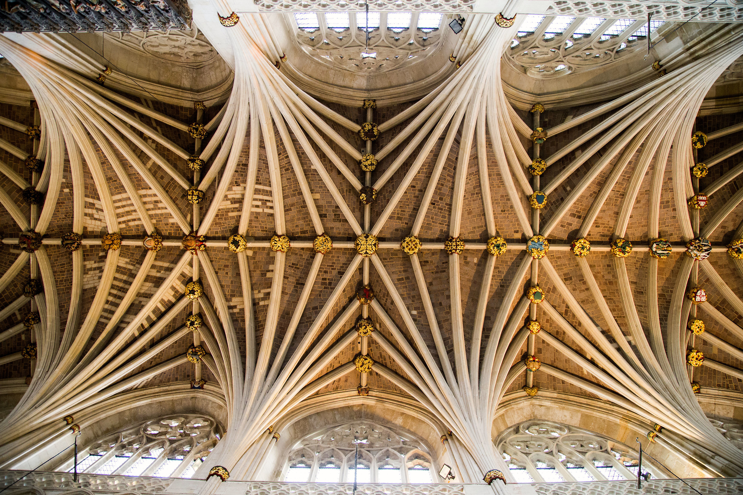 Volta della cattedrale di Exeter
