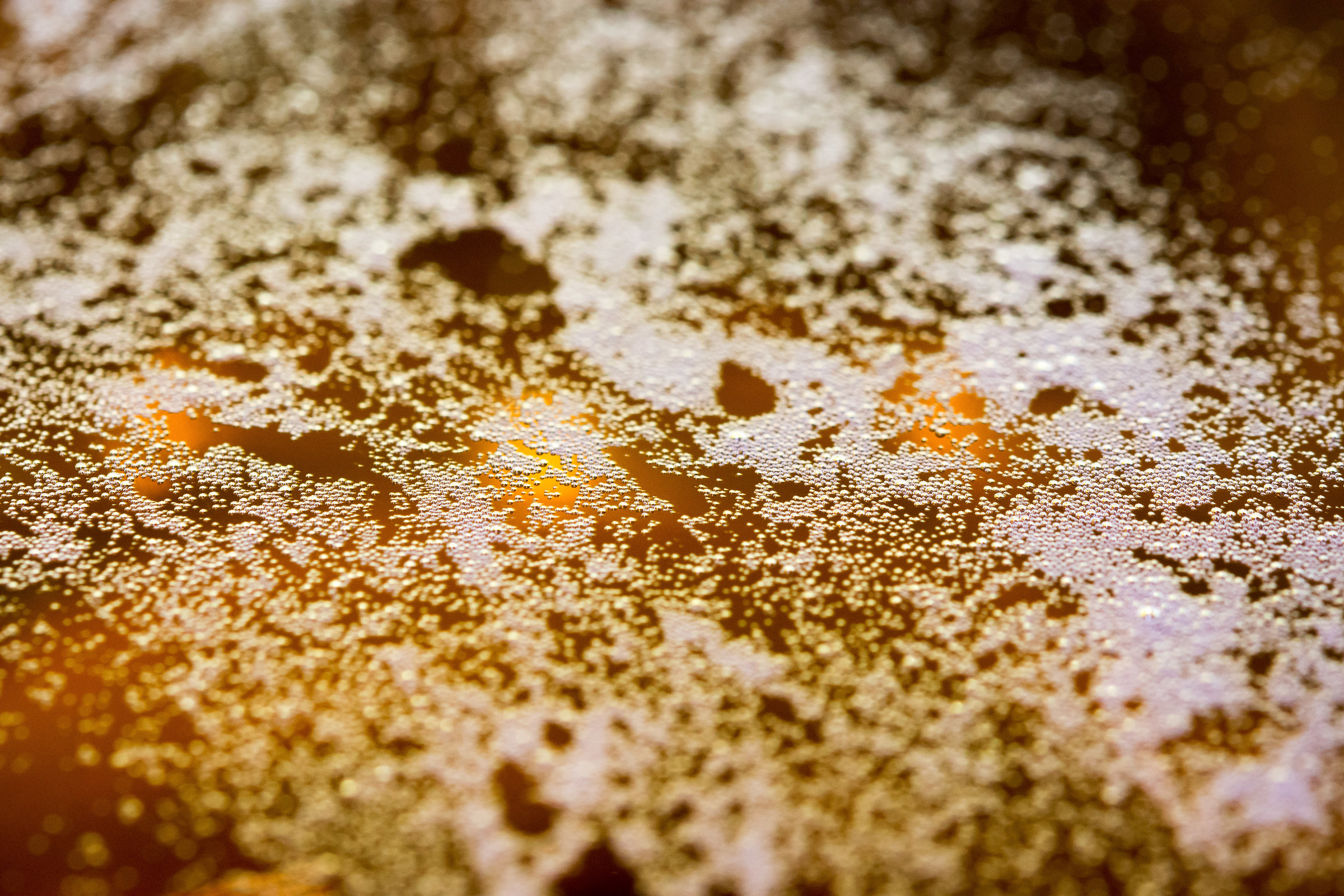 Facciamoci una birra