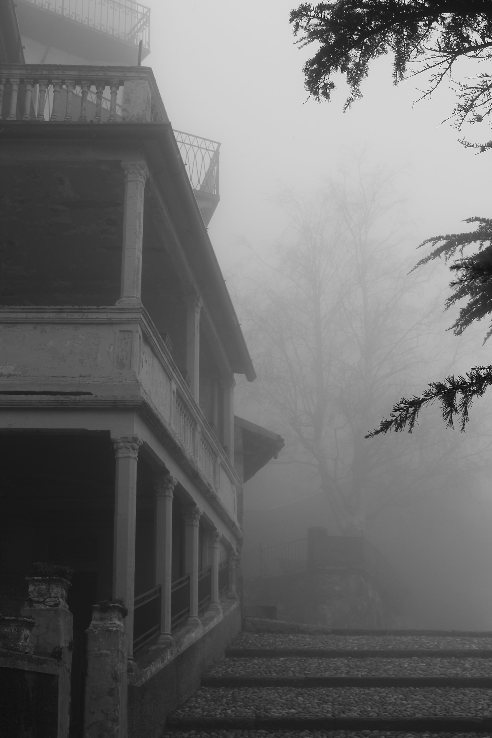 4 passi nella nebbia 2